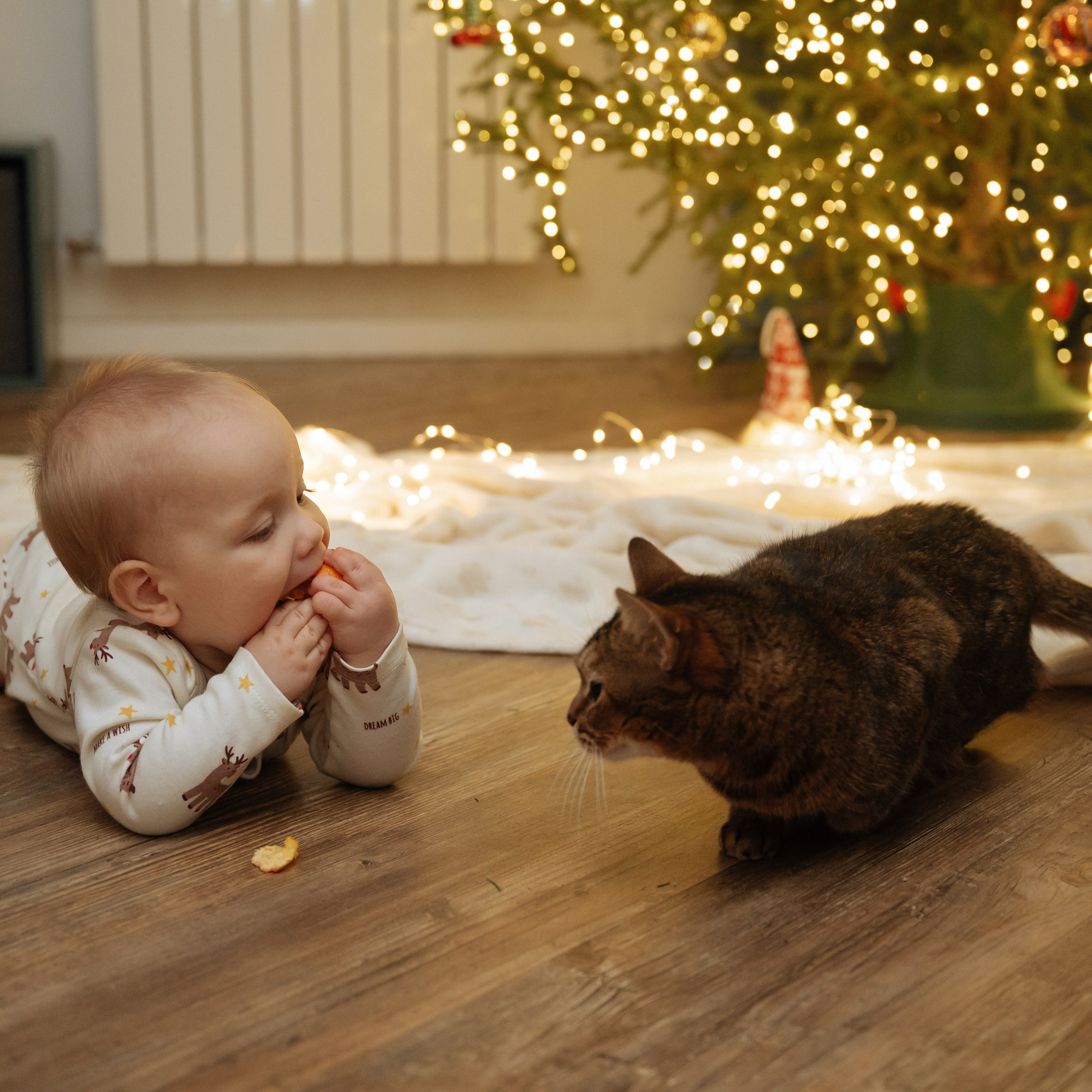 домашняя съёмка