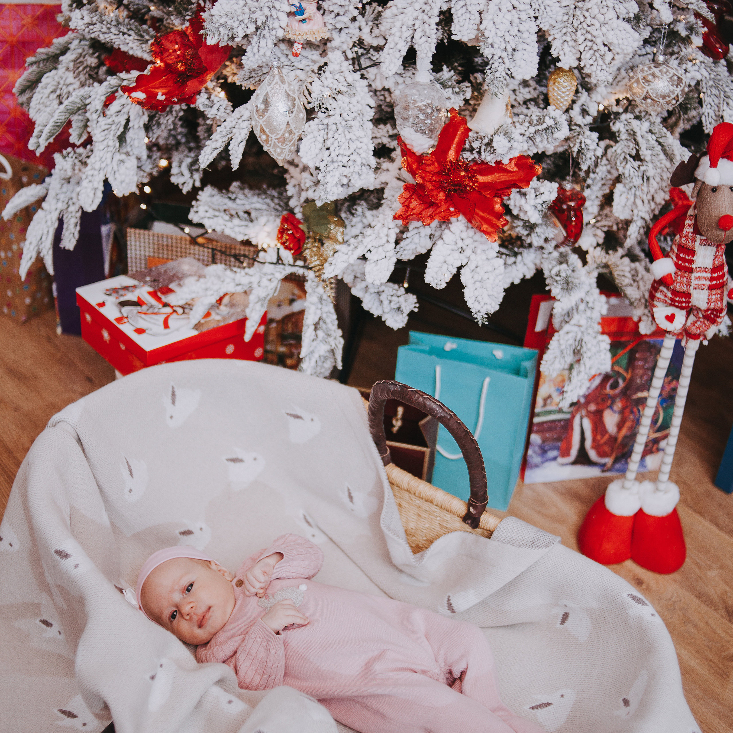 Домашняя съёмка. Коммерческий фотограф Яна Беличенко Анапа Краснодарский край