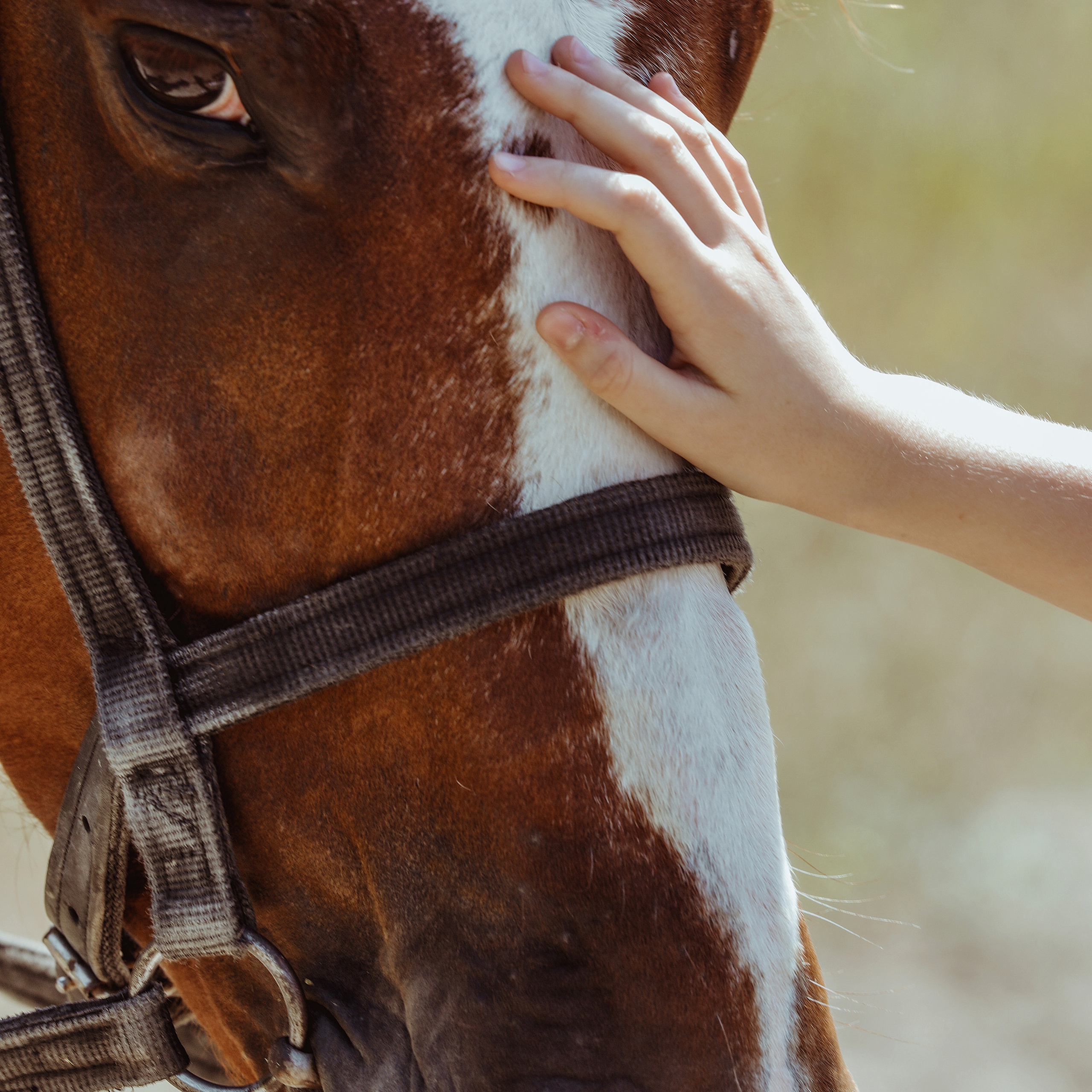 Две сестрички. Коммерческий фотограф Яна Беличенко Анапа Краснодарский край