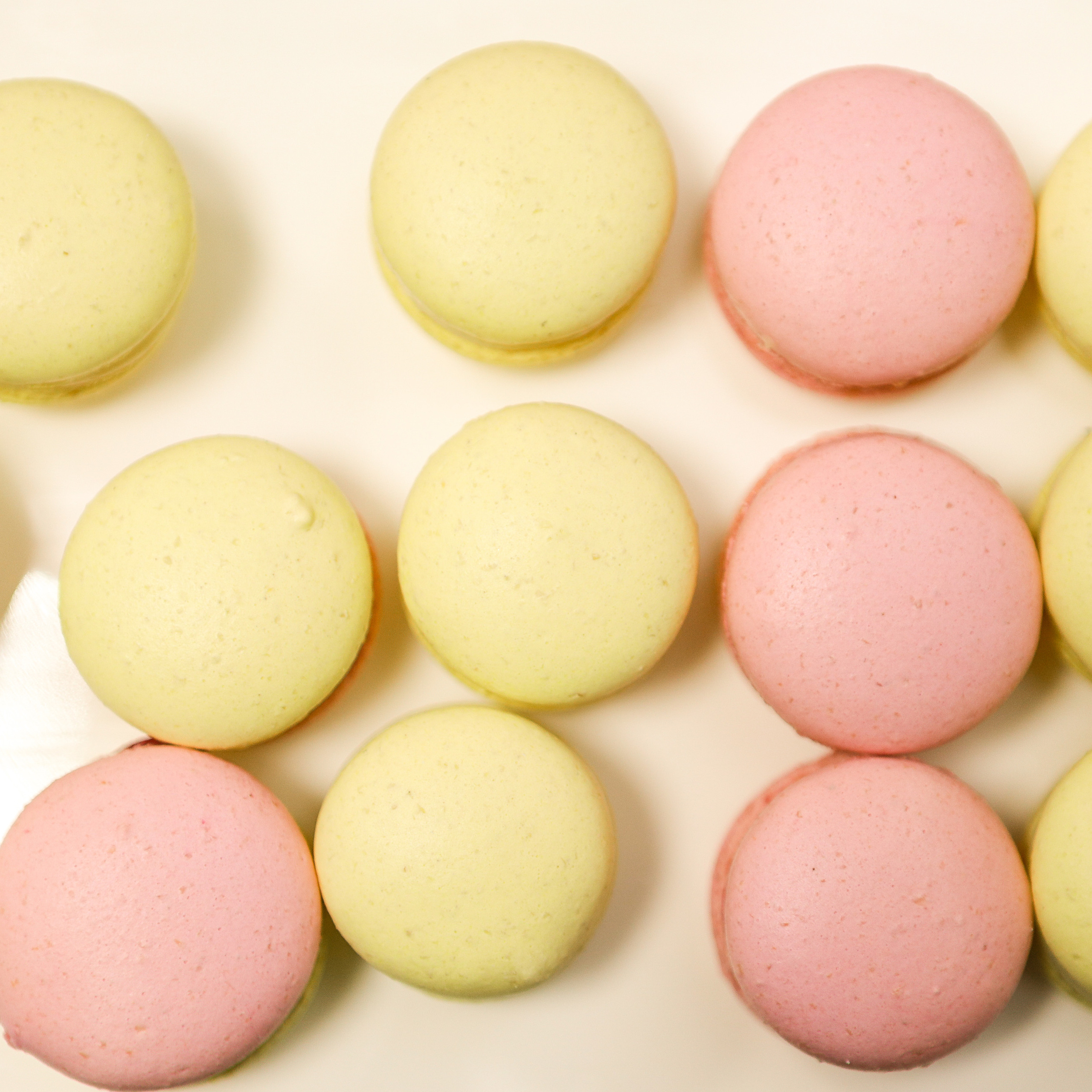 Открытие Арт-пространства TEXTURA. Коммерческий фотограф Яна Беличенко Анапа Краснодарский край