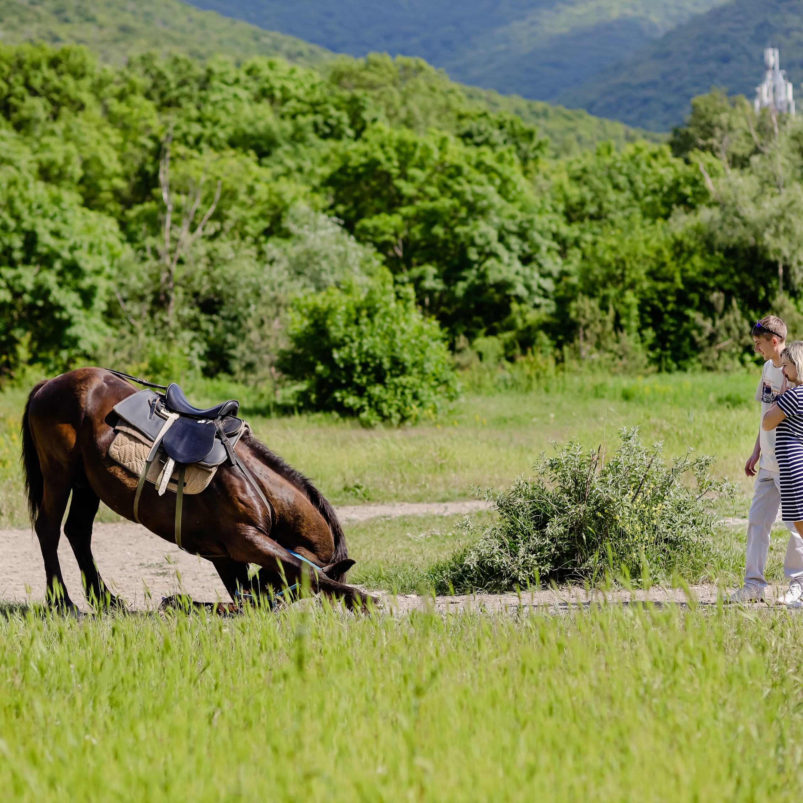 Отзывы. Коммерческий фотограф Яна Беличенко Анапа Краснодарский край