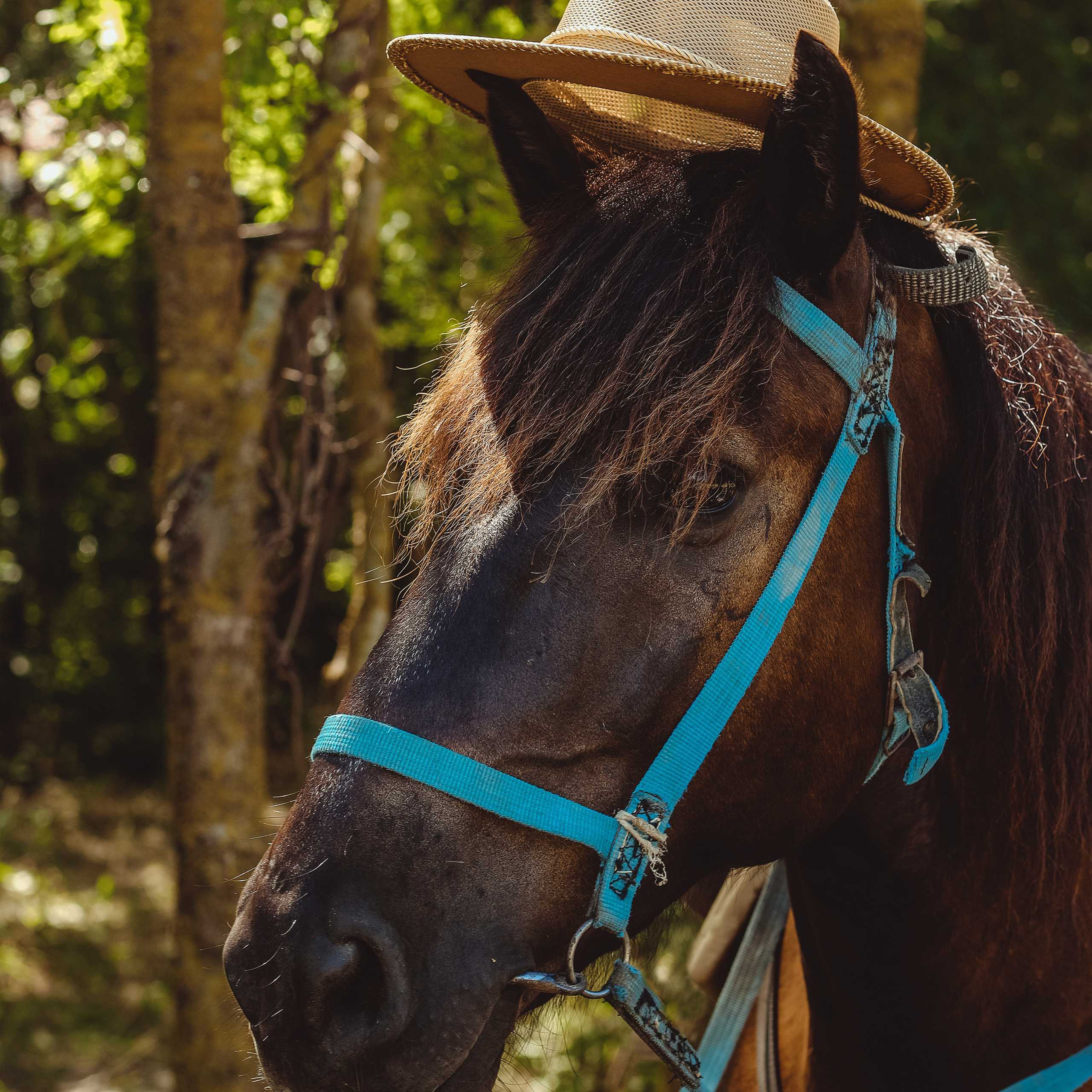 Карина и компания. Коммерческий фотограф Яна Беличенко Анапа Краснодарский край