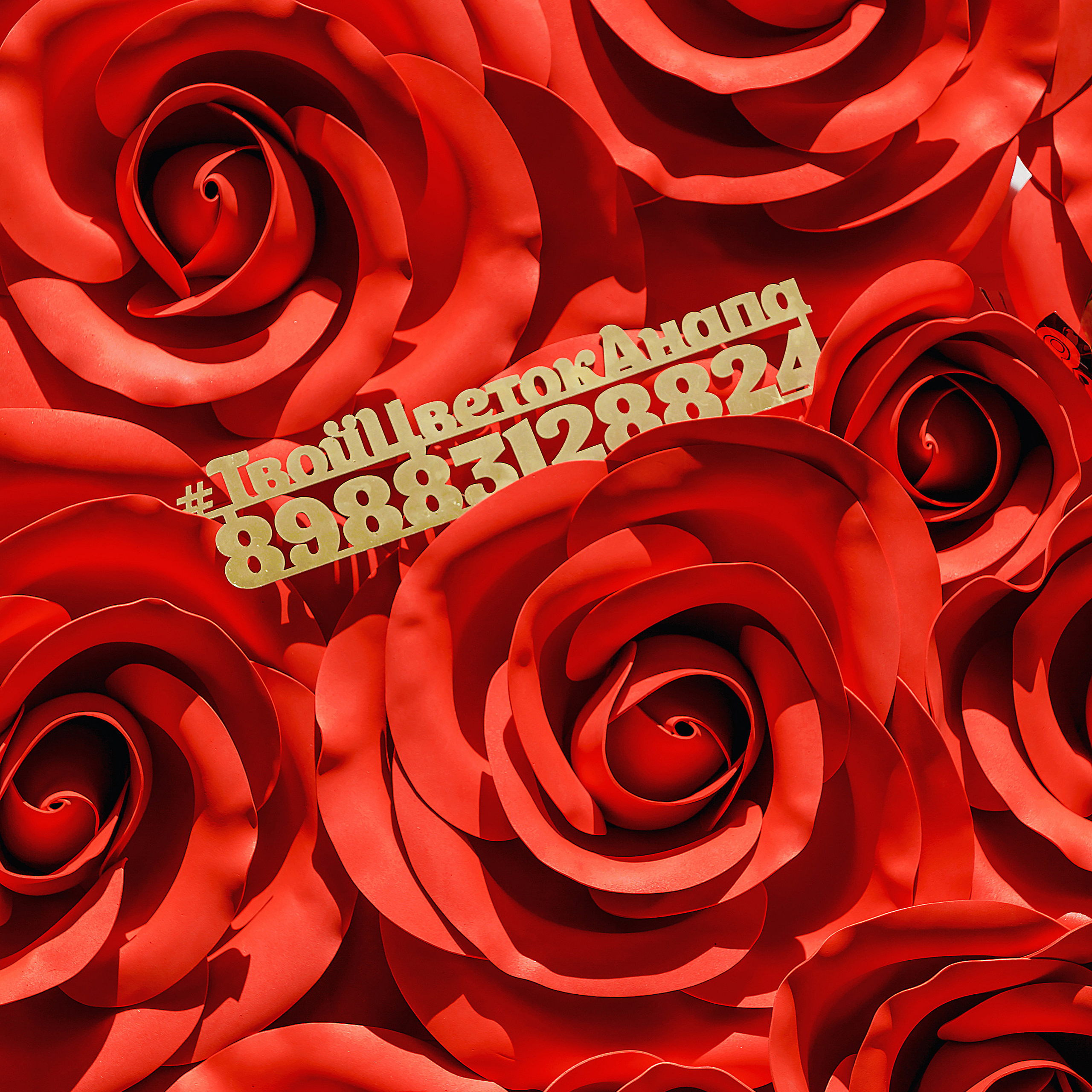 Ярмарка_Сицилия. Коммерческий фотограф Яна Беличенко Анапа Краснодарский край