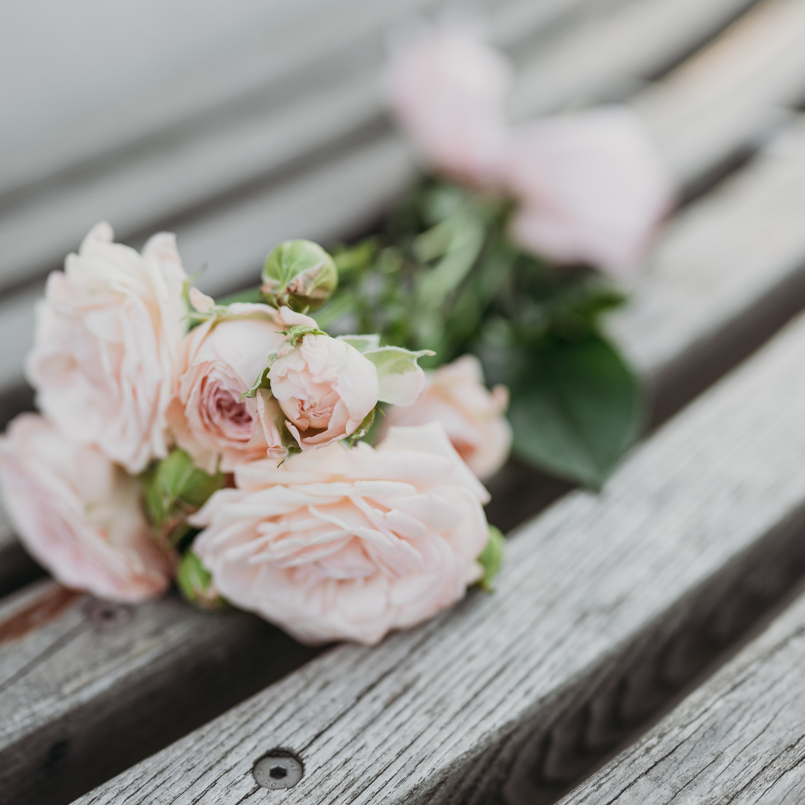 Отзывы. Семейный фотограф в Краснодаре