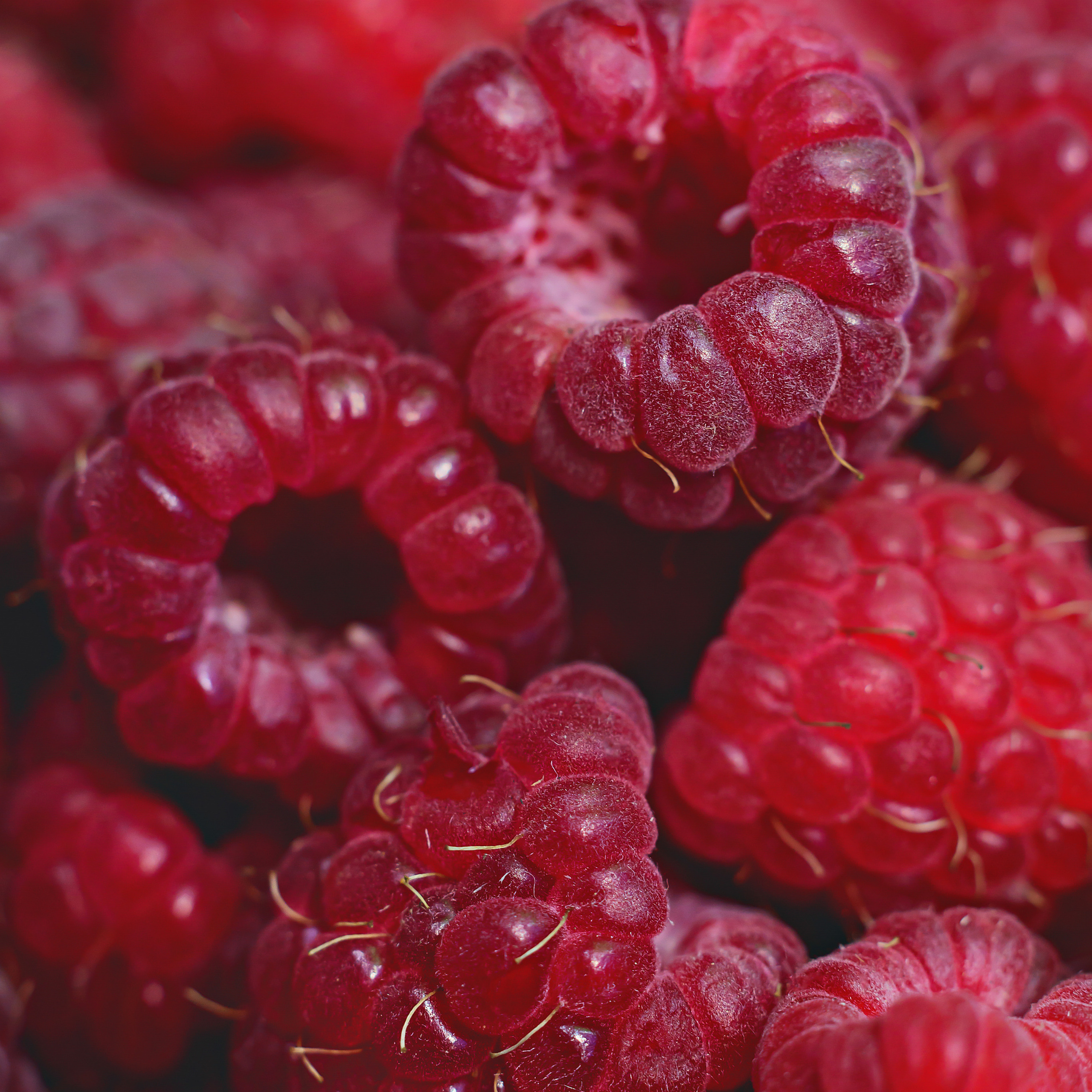 Food photo — меню, баннеры, реклама