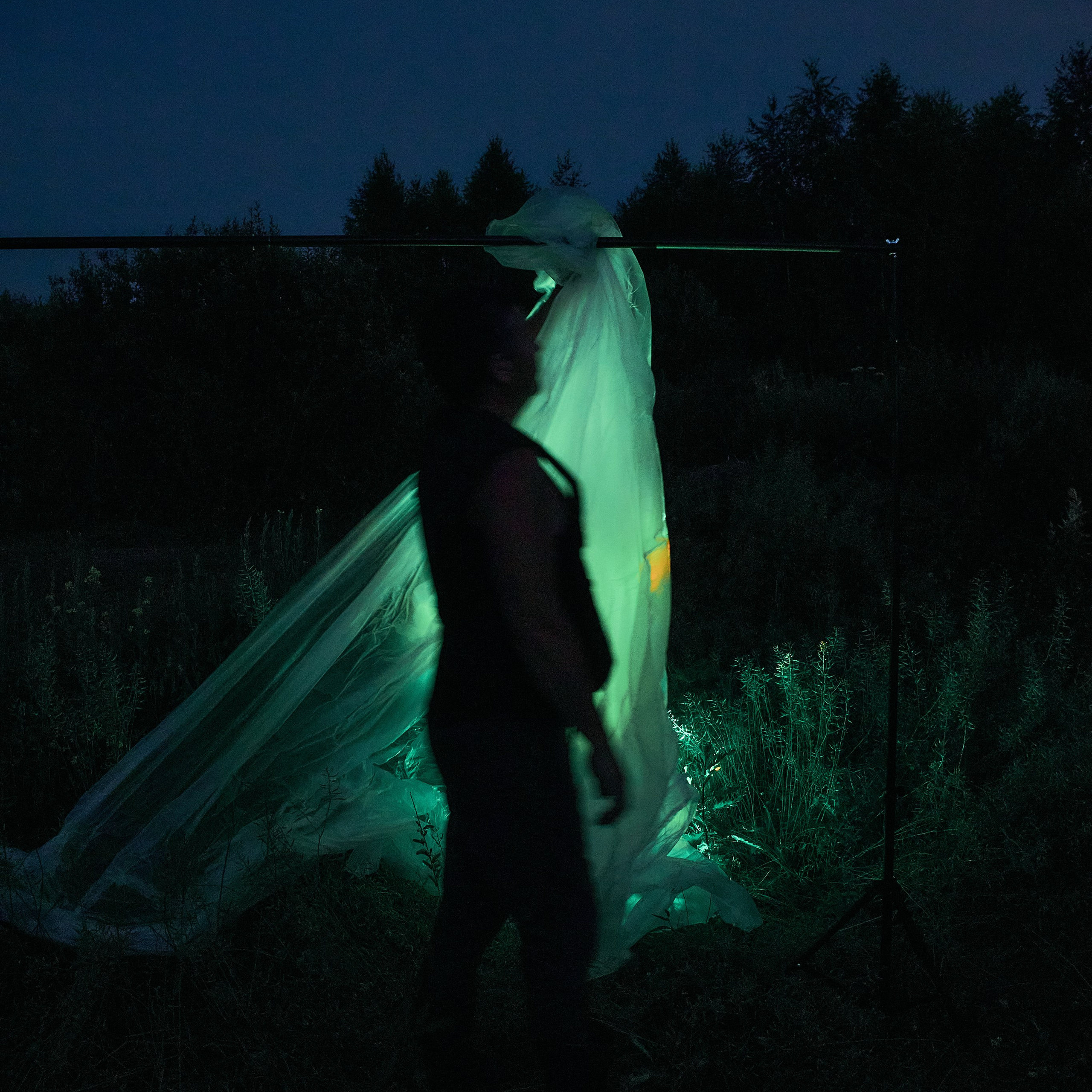 Ночная съемка на природе. Visual artist (photo & arts)