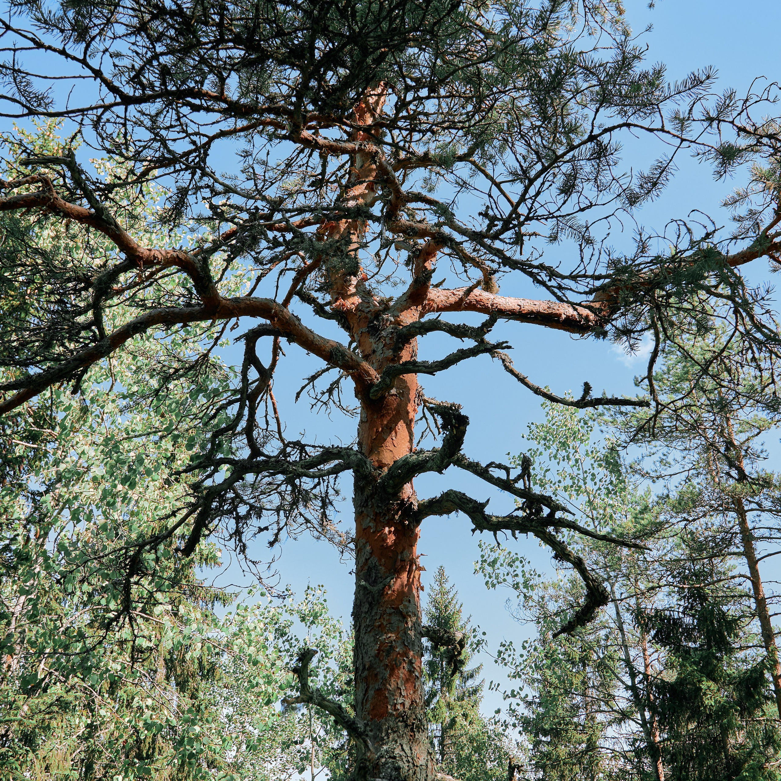 Города России. Карелия. Visual artist (photo & arts)