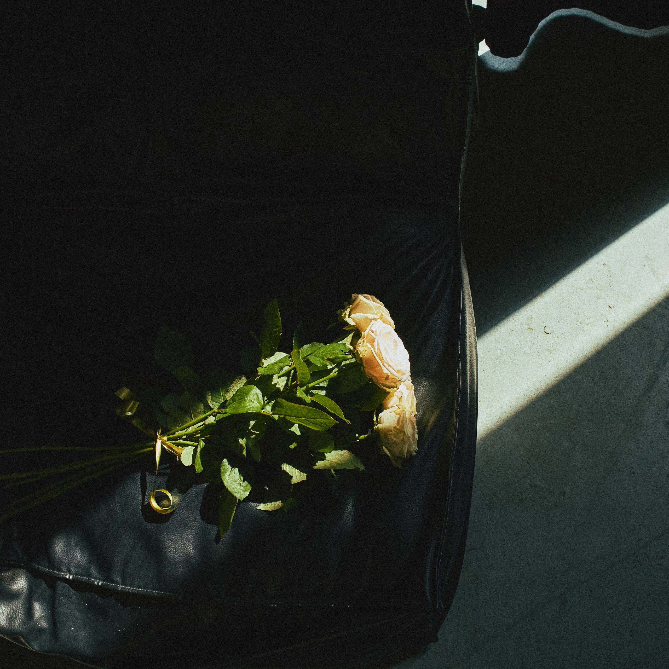 Портретная бизнес съемка. Visual artist (photo & arts)