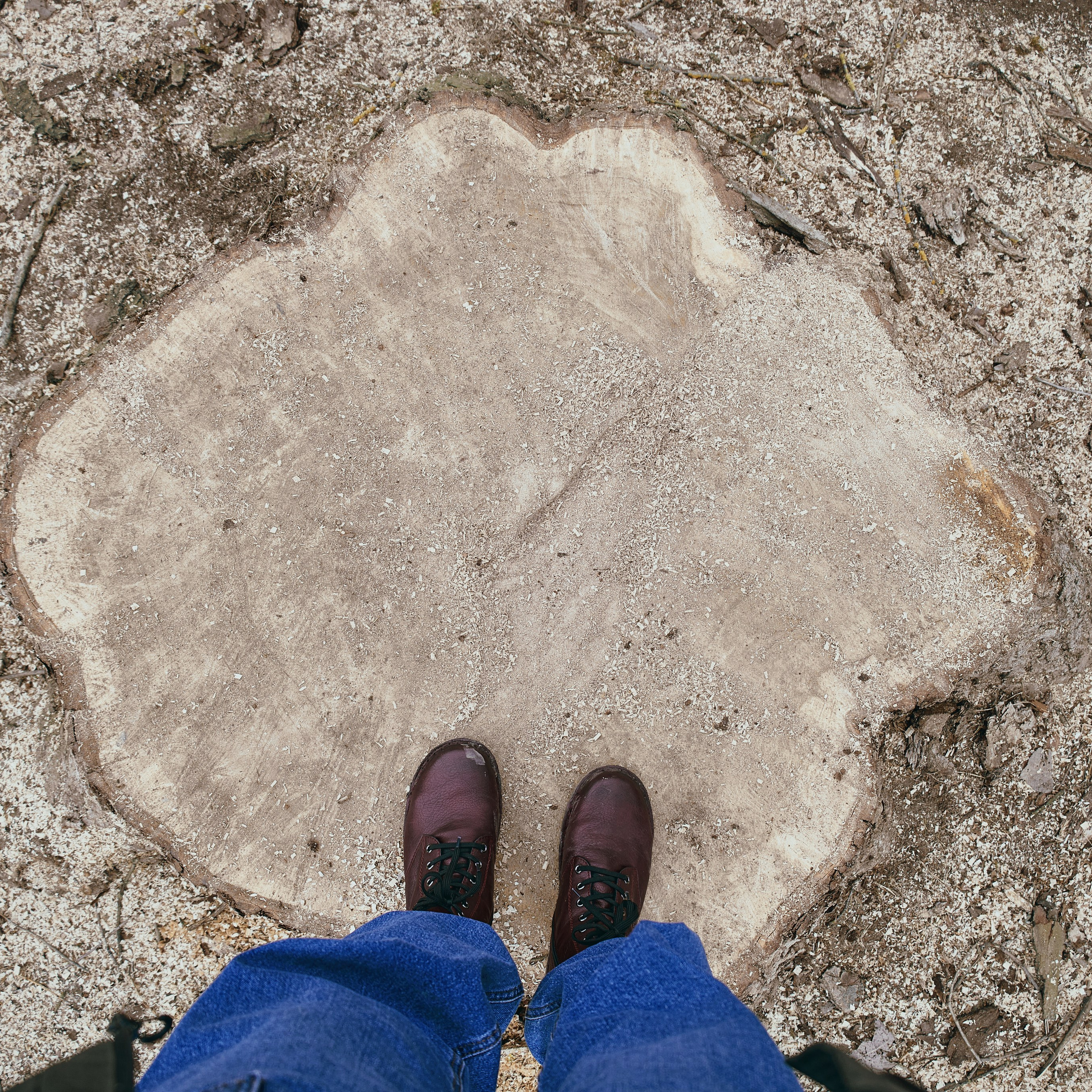 Конаково + Дубна. Visual artist (photo & arts)