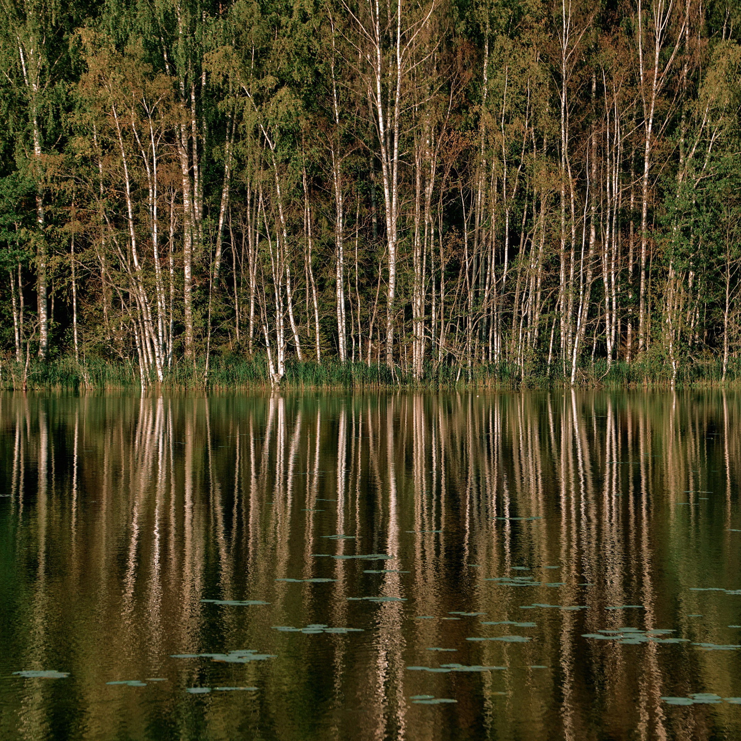 Города России. Карелия. Visual artist (photo & arts)