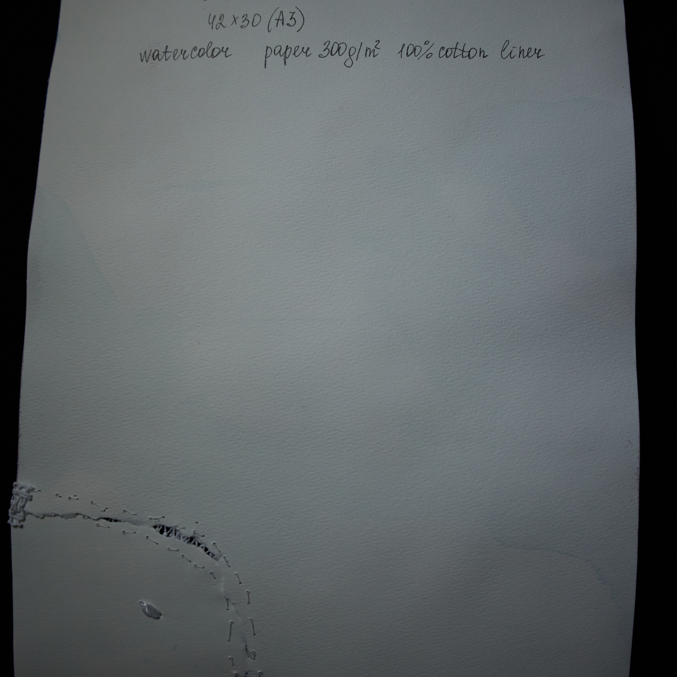 Сюрреалистичная ботаническая картина с гнёздами и яйцами. Visual artist (photo & arts)