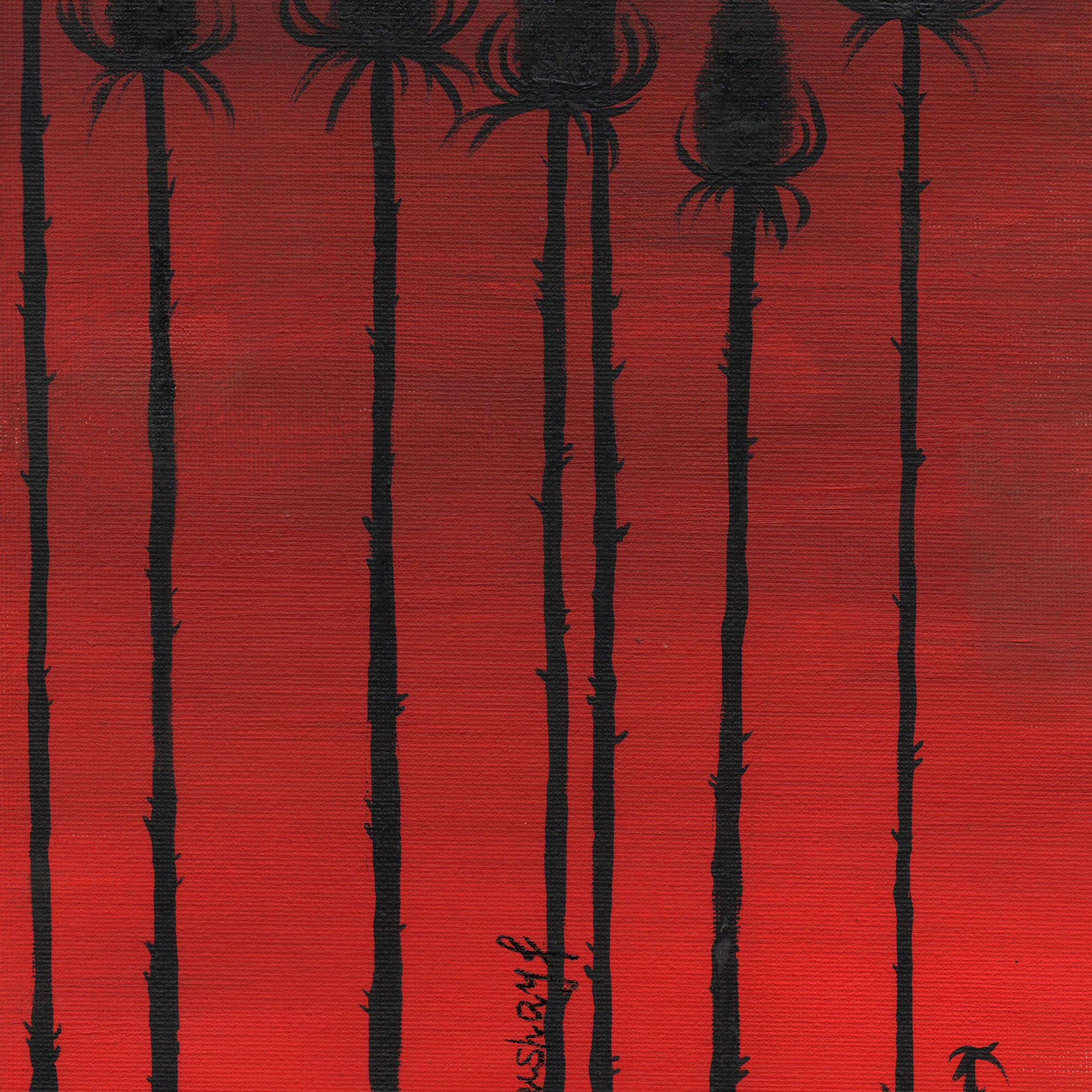 Сюрреалистичные чёрные чертополохи на рассвете. Visual artist (photo & arts)