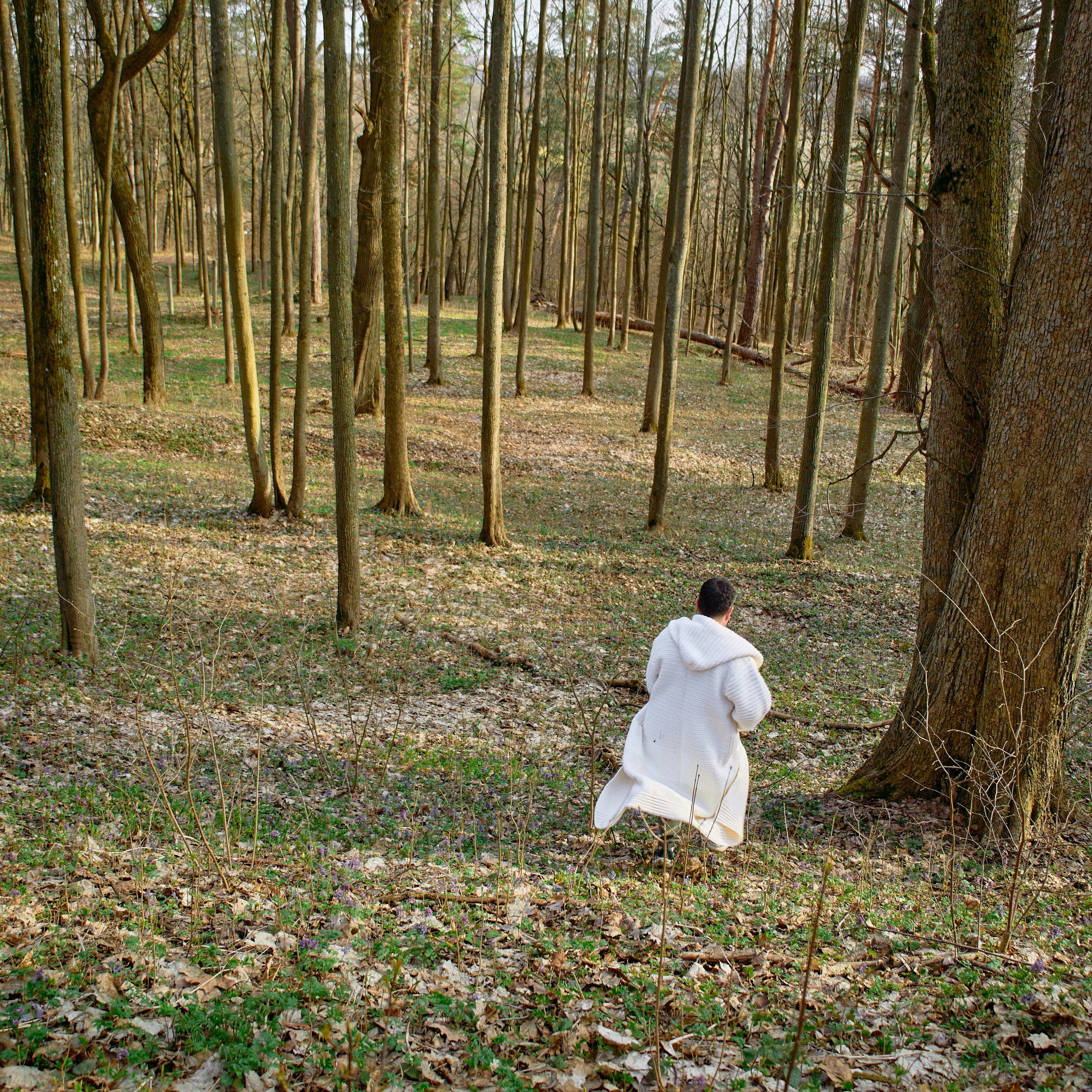 В лесу. Visual artist (photo & arts)