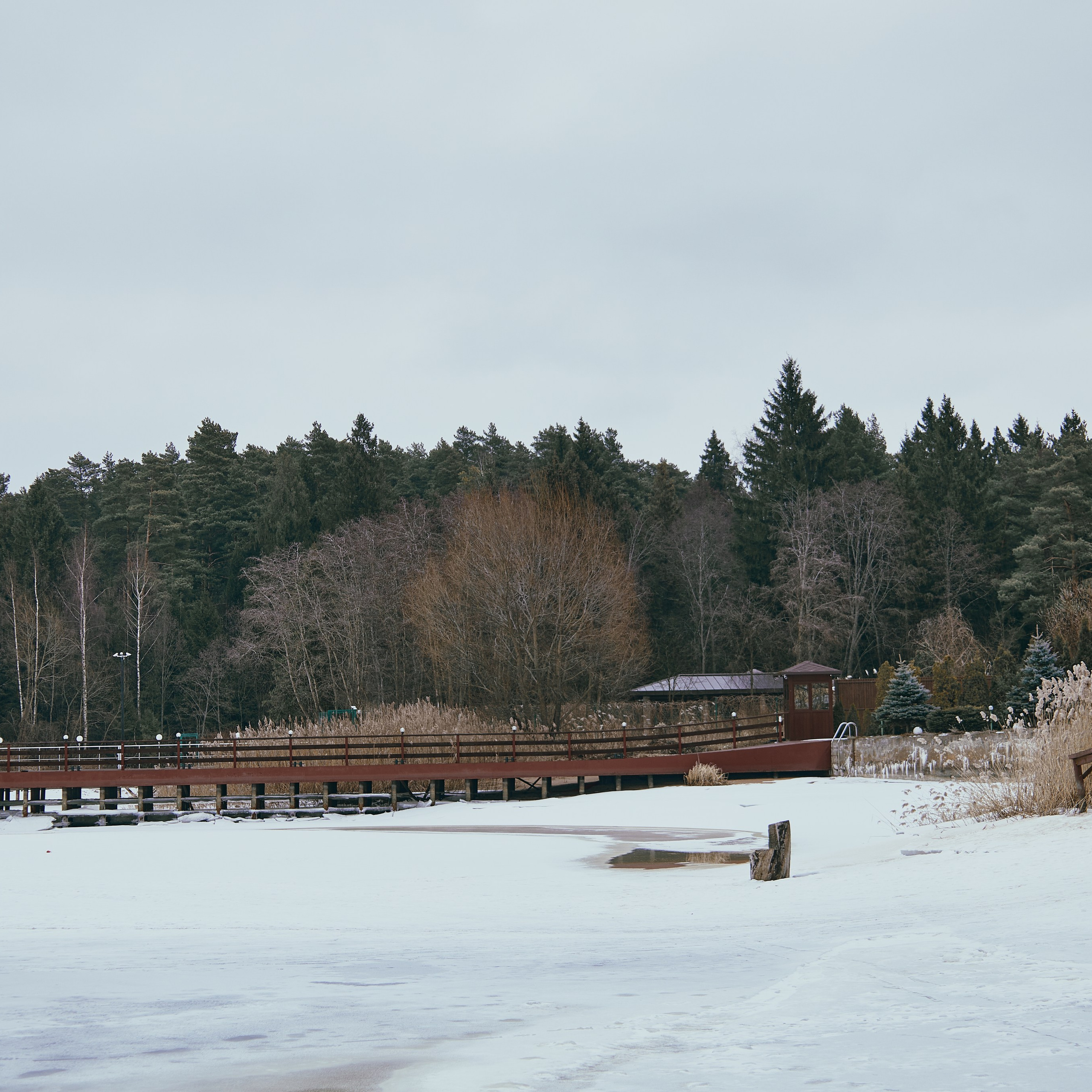 Конаково + Дубна. Visual artist (photo & arts)