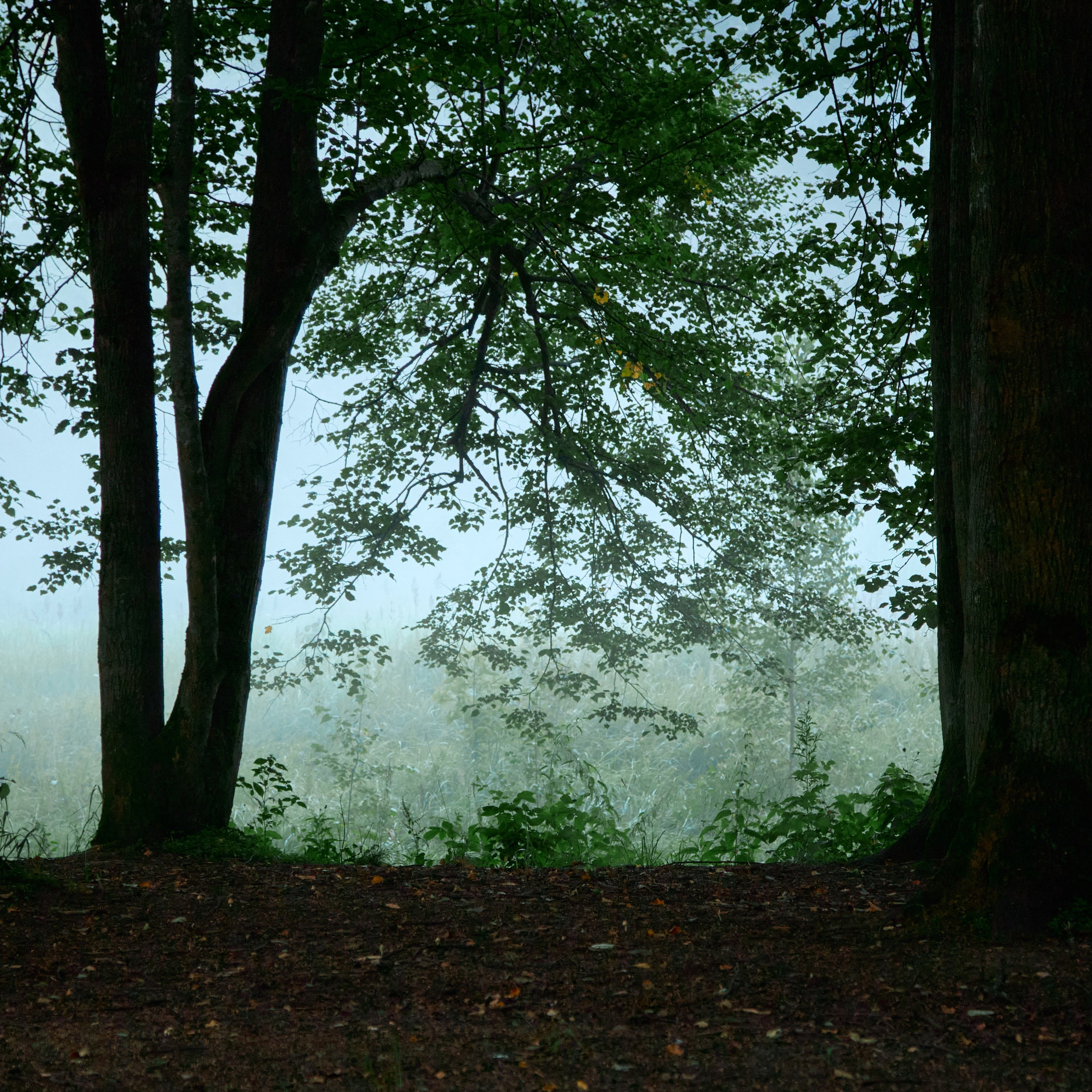 Индивидуальный портрет. Visual artist (photo & arts)