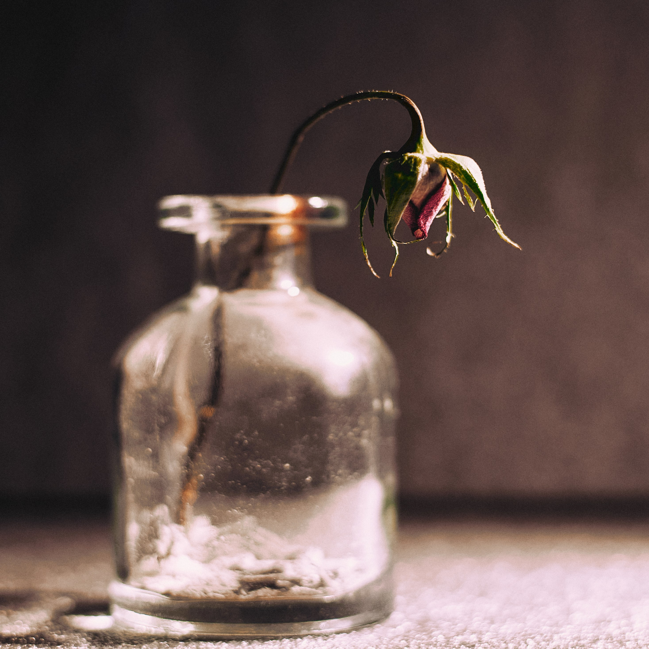 Сухоцветы. Visual artist (photo & arts)