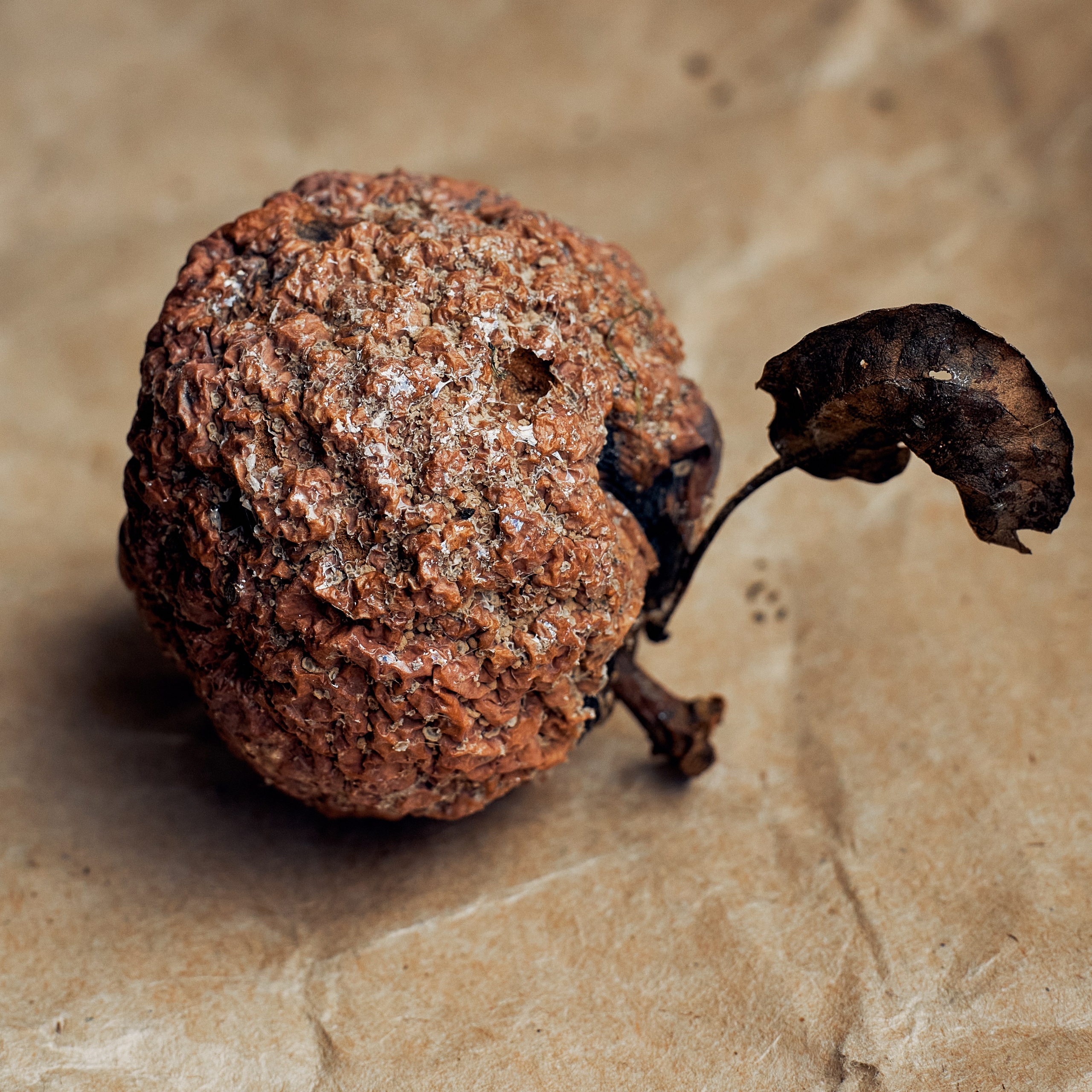 «Wabi-Sabi Still Life — Decayed Apple Fine Art Photography». Visual artist (photo & arts)