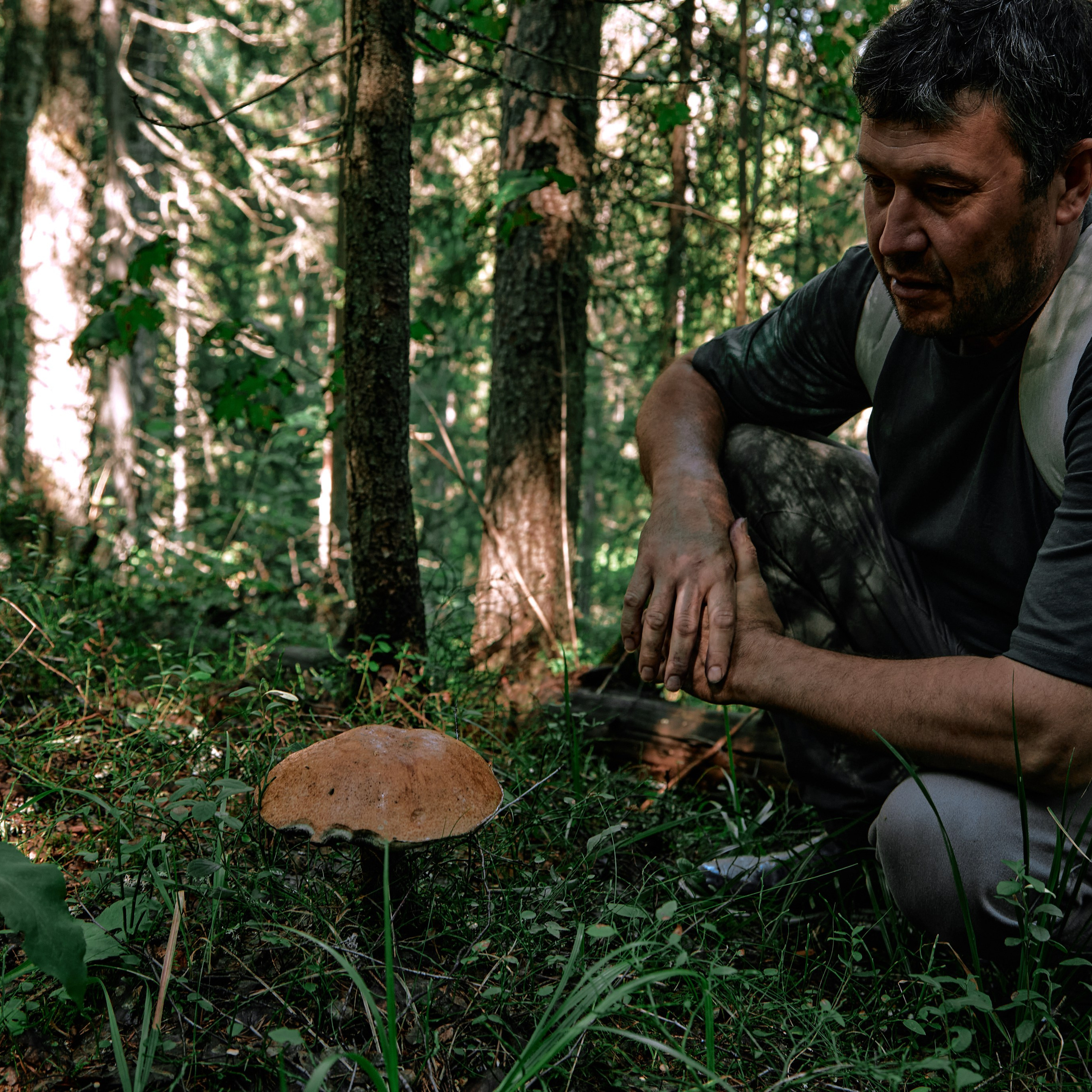 Города России. Карелия. Visual artist (photo & arts)