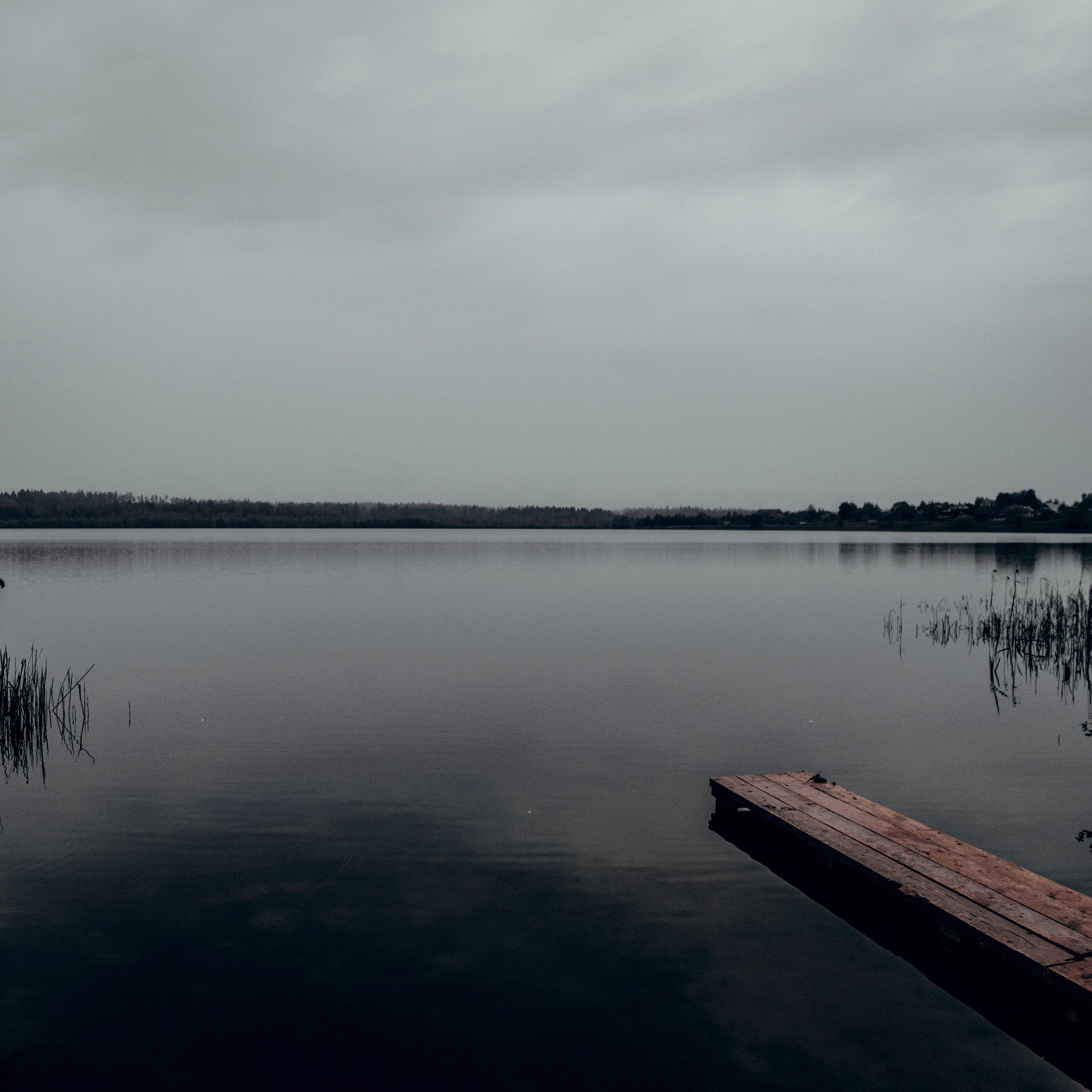 Мужской портрет у воды. Visual artist (photo & arts)