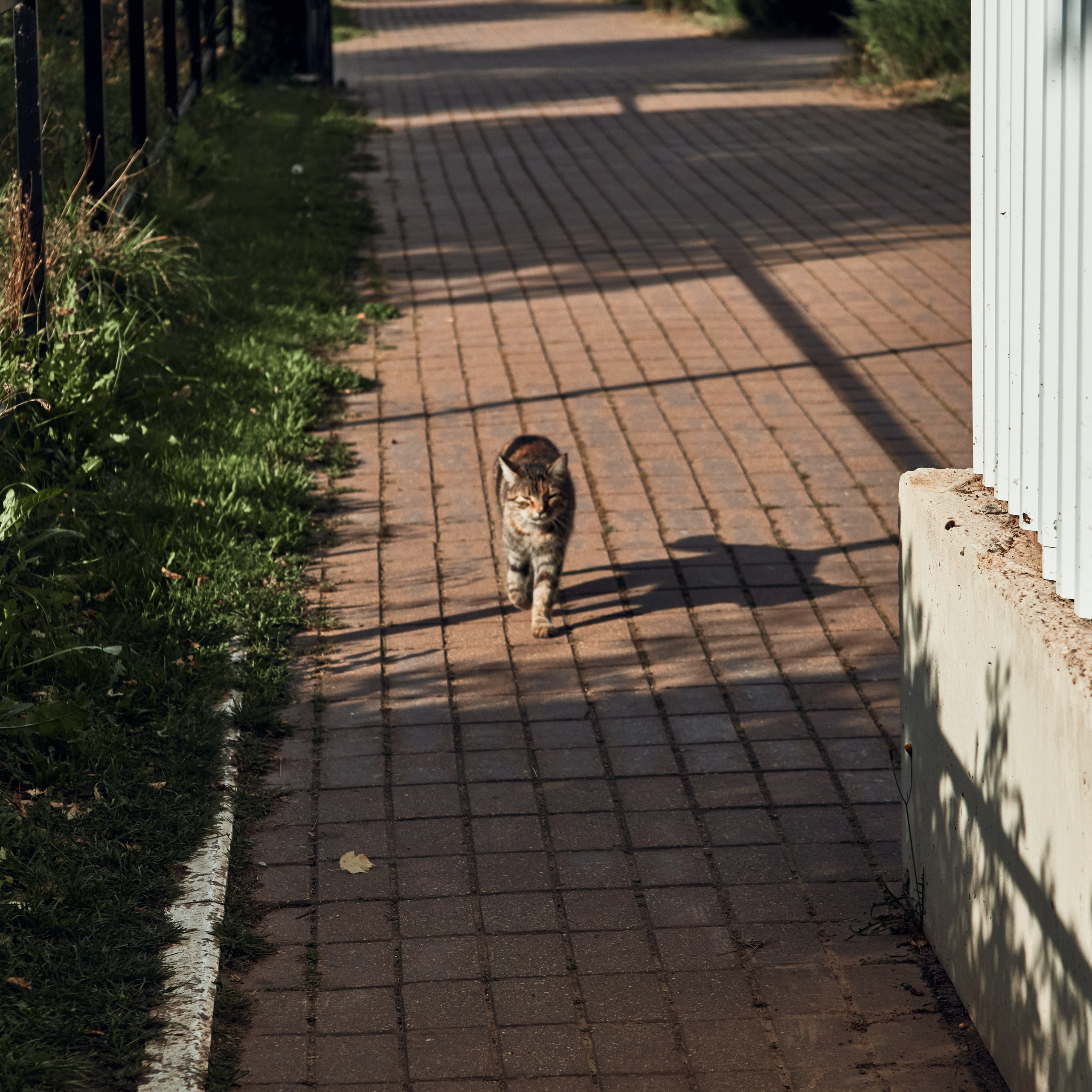 Великий Ростов или где снимали Иван Васильевича, который менял профессию. Visual artist (photo & arts)
