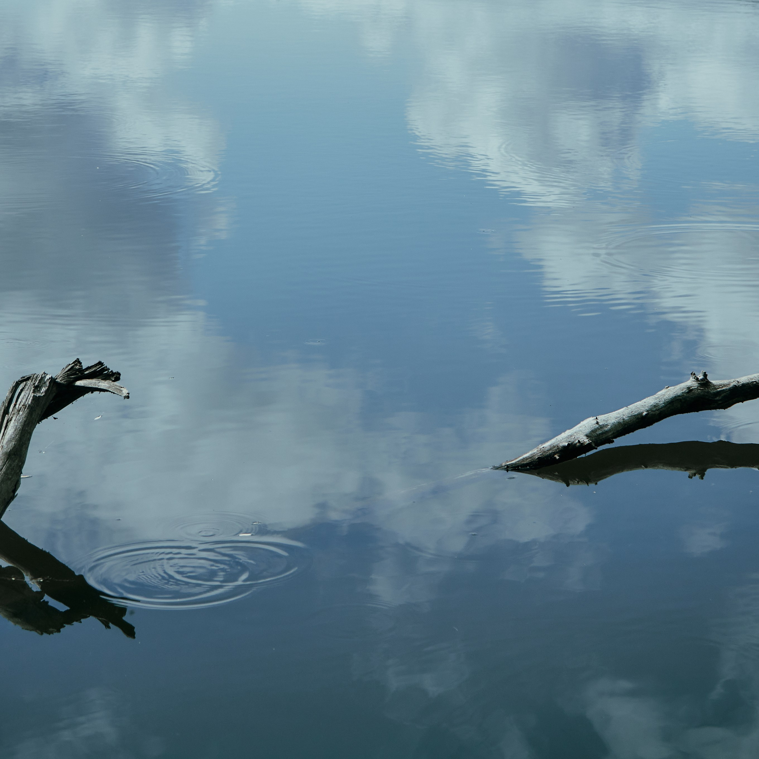 Вздох, фотосессия в воде. Visual artist (photo & arts)