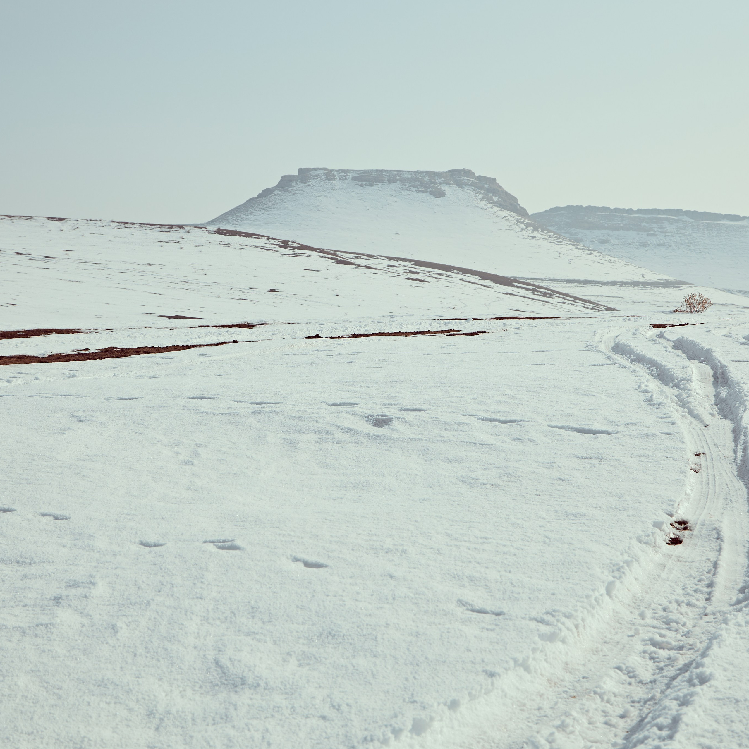 Кор Бобо (узбекский Дед Мороз). Visual artist (photo & arts)