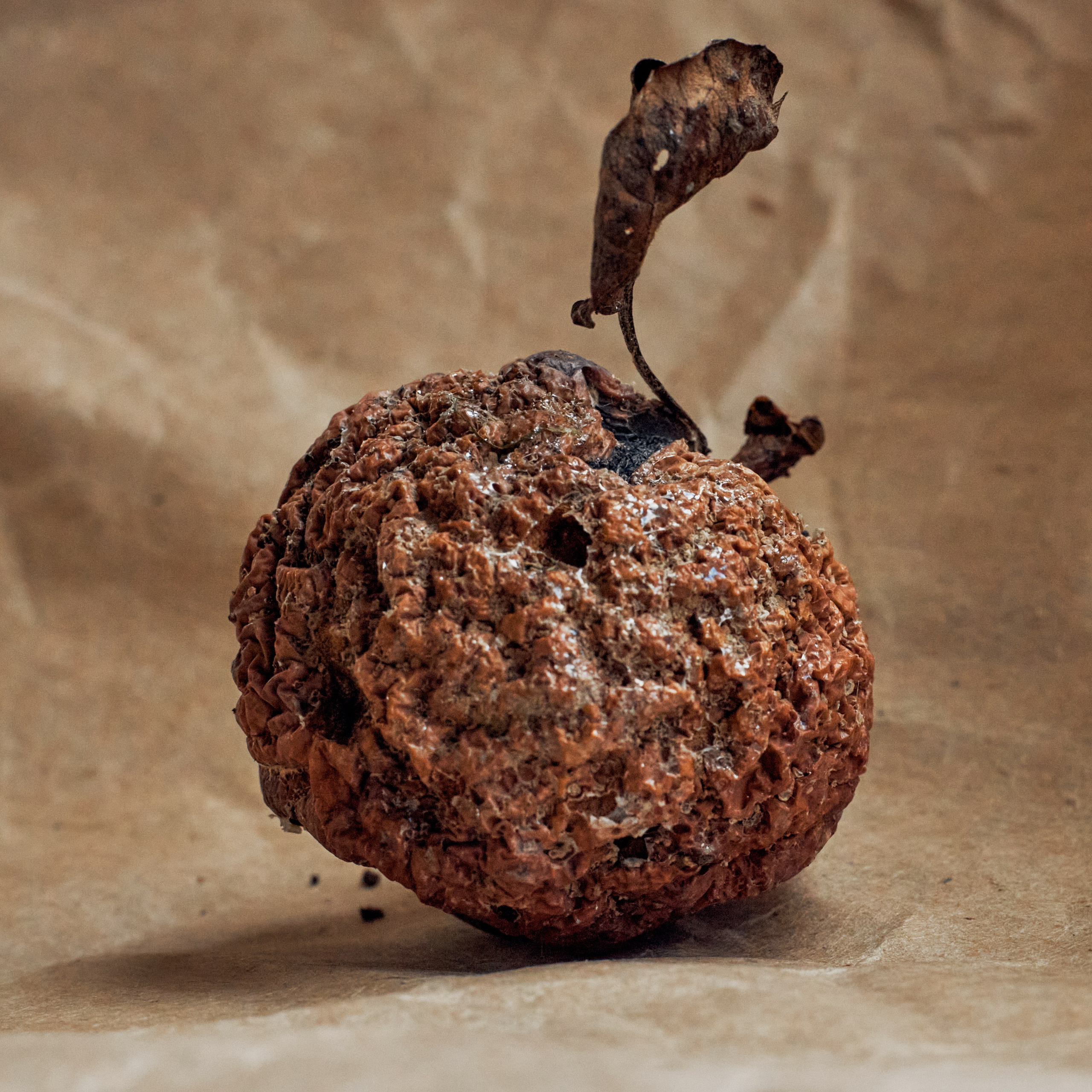 «Wabi-Sabi Still Life — Decayed Apple Fine Art Photography». Visual artist (photo & arts)
