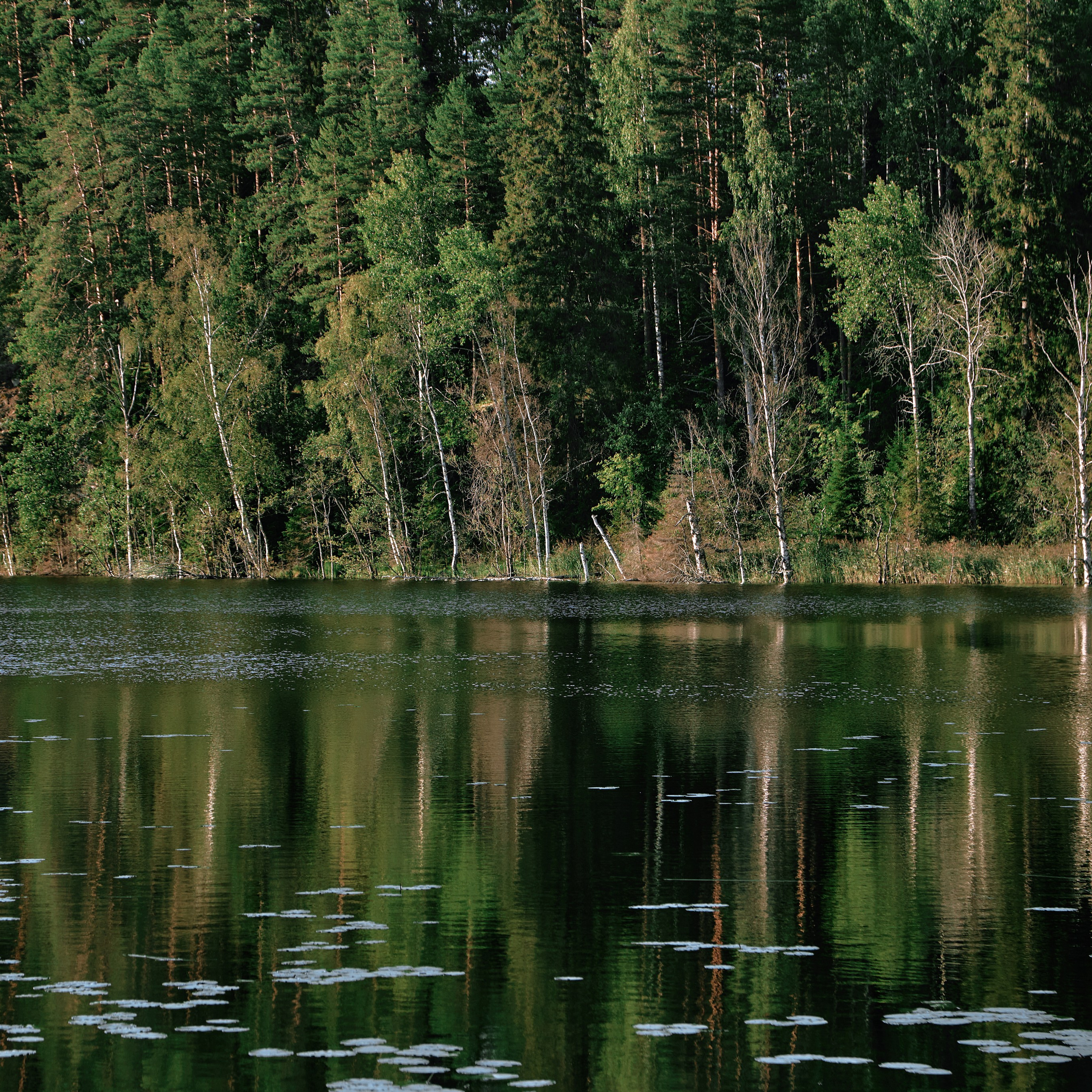 Города России. Карелия. Visual artist (photo & arts)