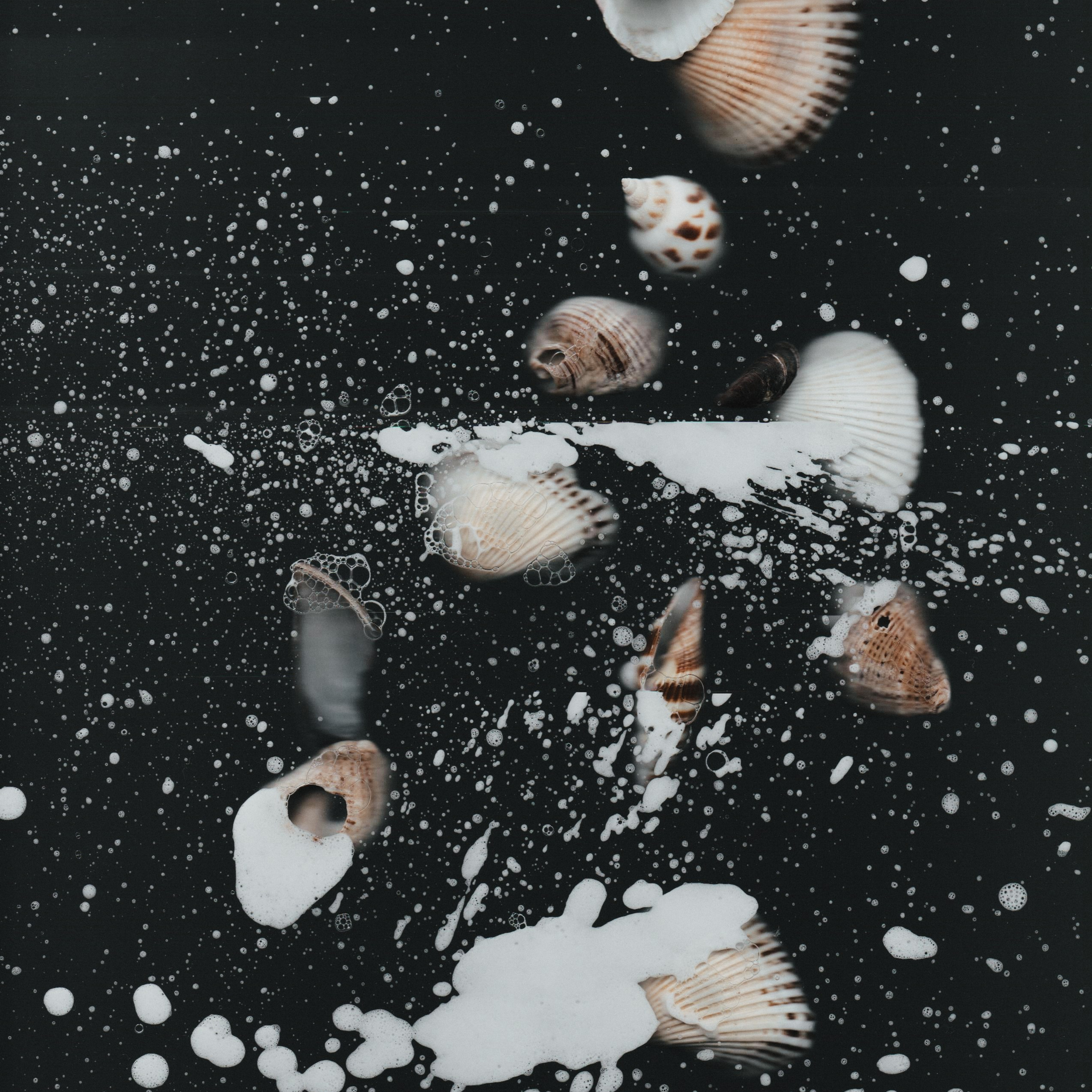 Distorted Botanicals & Objects. Сканография. Visual artist (photo & arts)