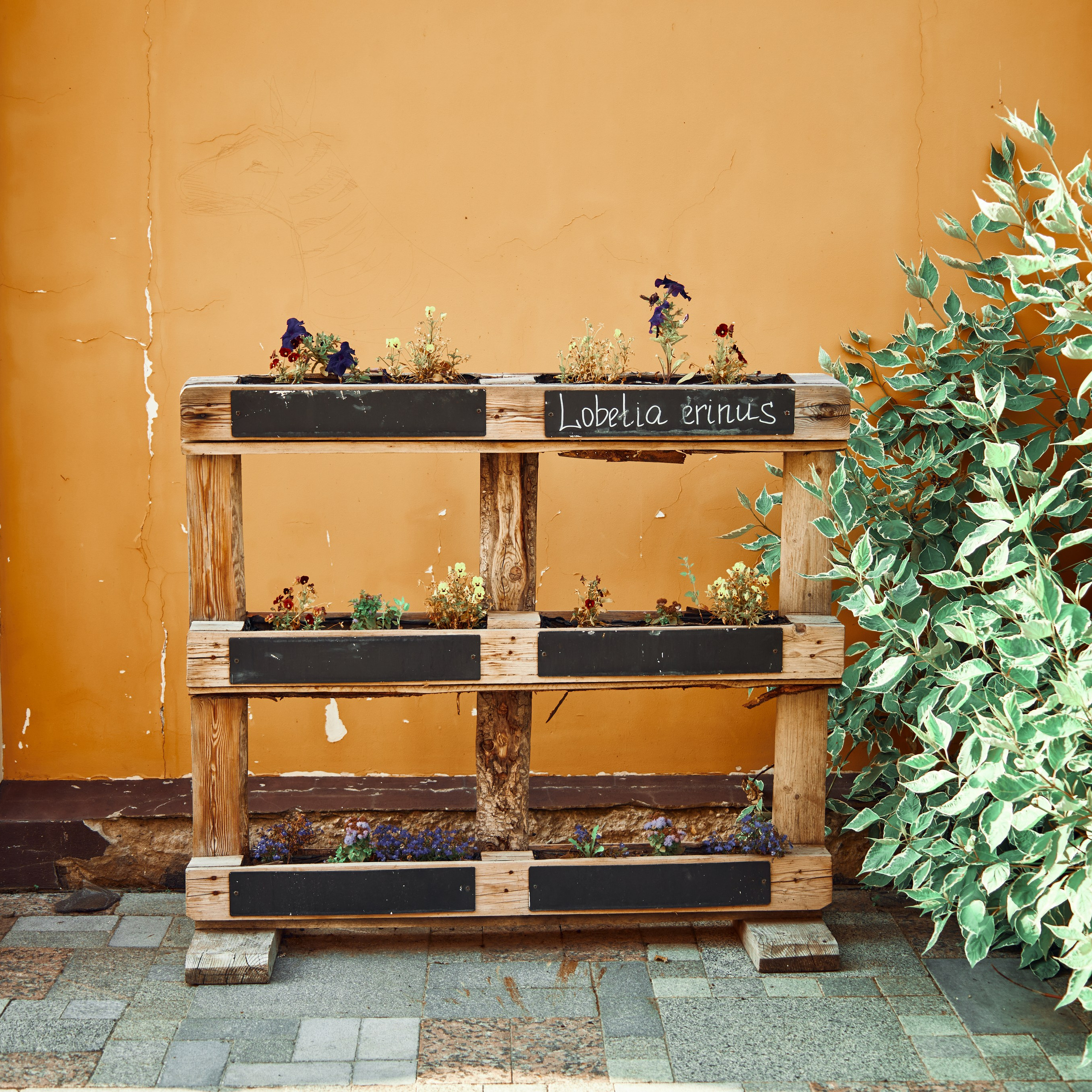 Боровск. Города России. Visual artist (photo & arts)