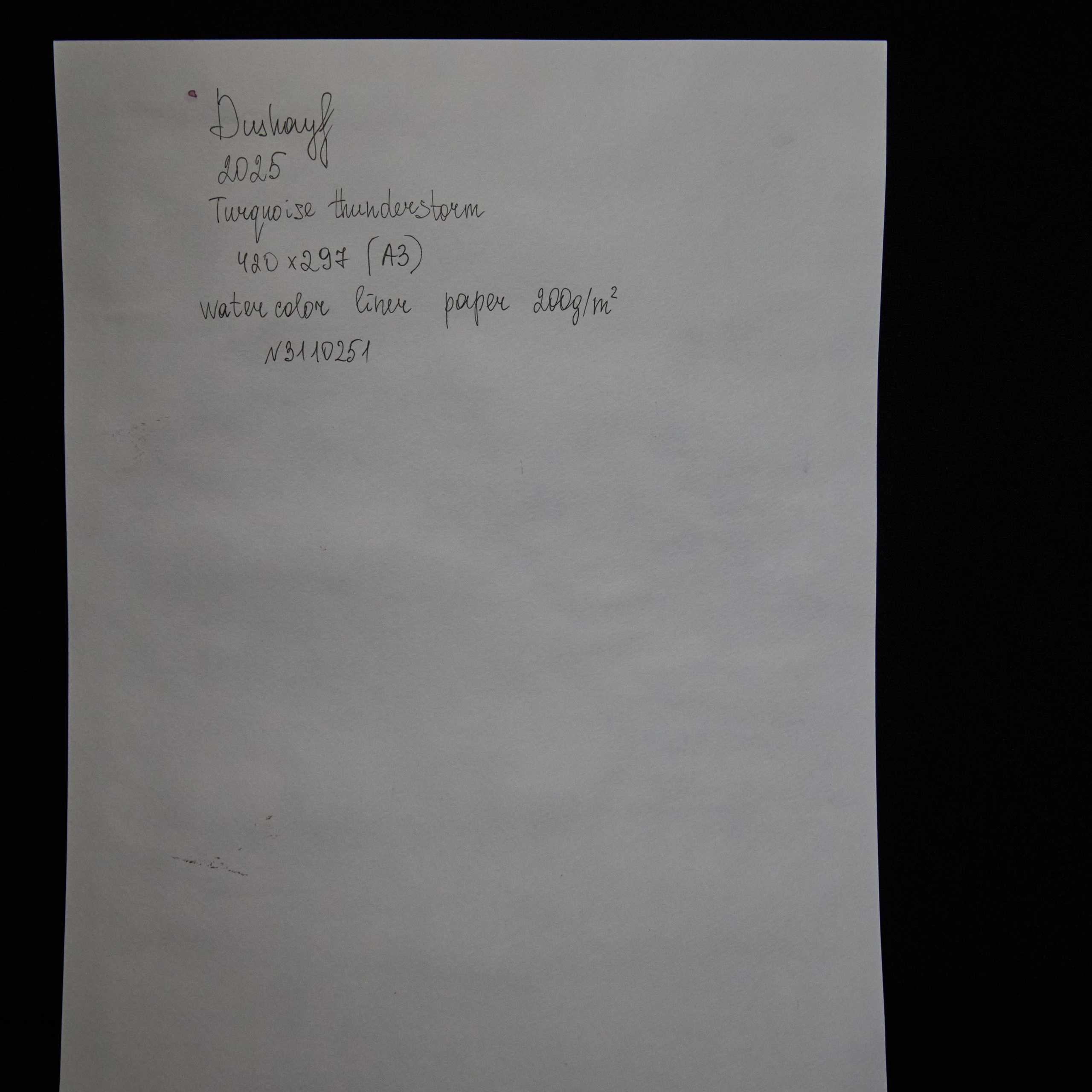 Бирюзовая гроза. Visual artist (photo & arts)