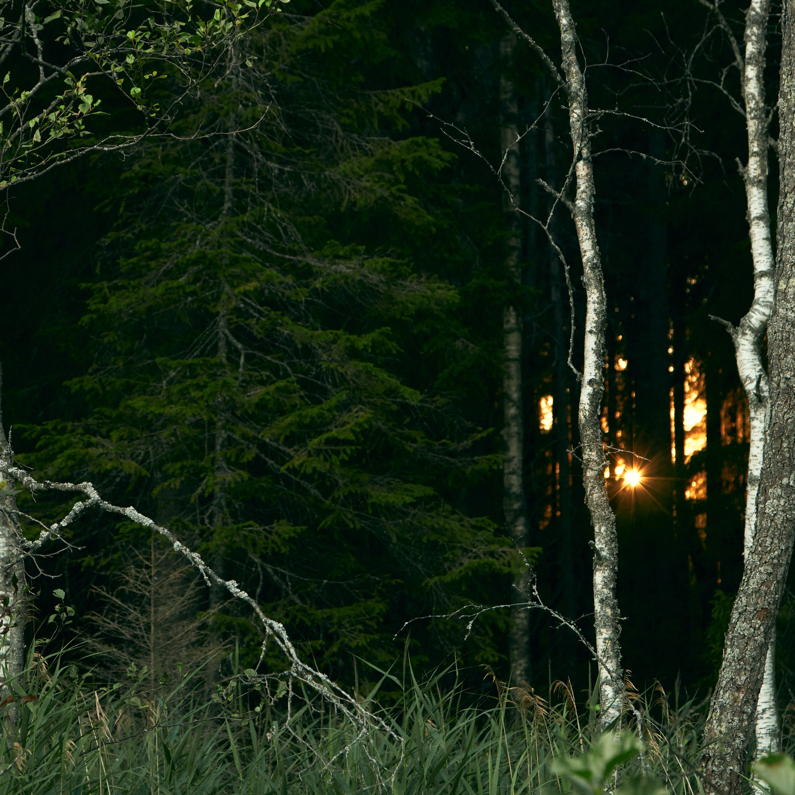 Города России. Карелия. Visual artist (photo & arts)