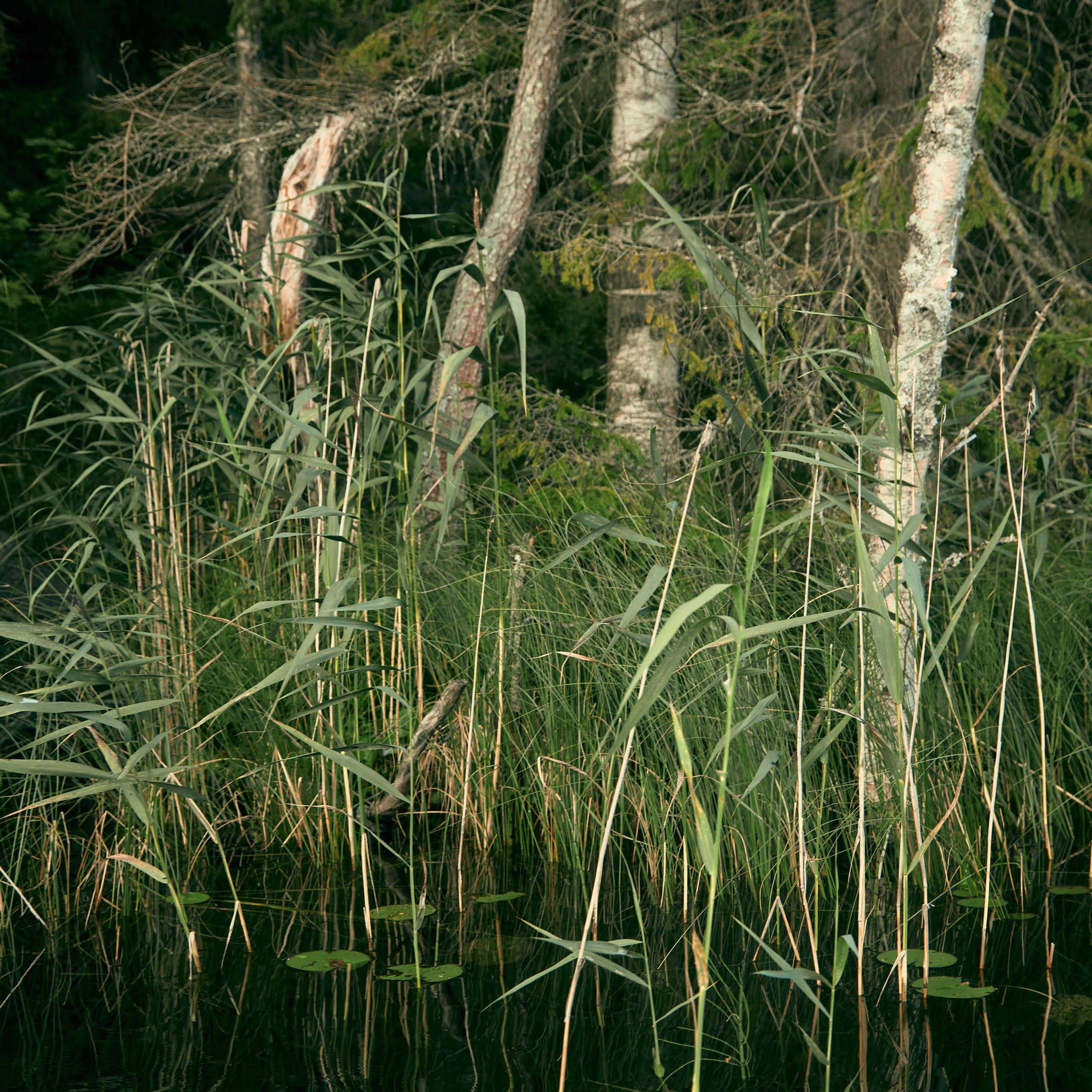 Города России. Карелия. Visual artist (photo & arts)