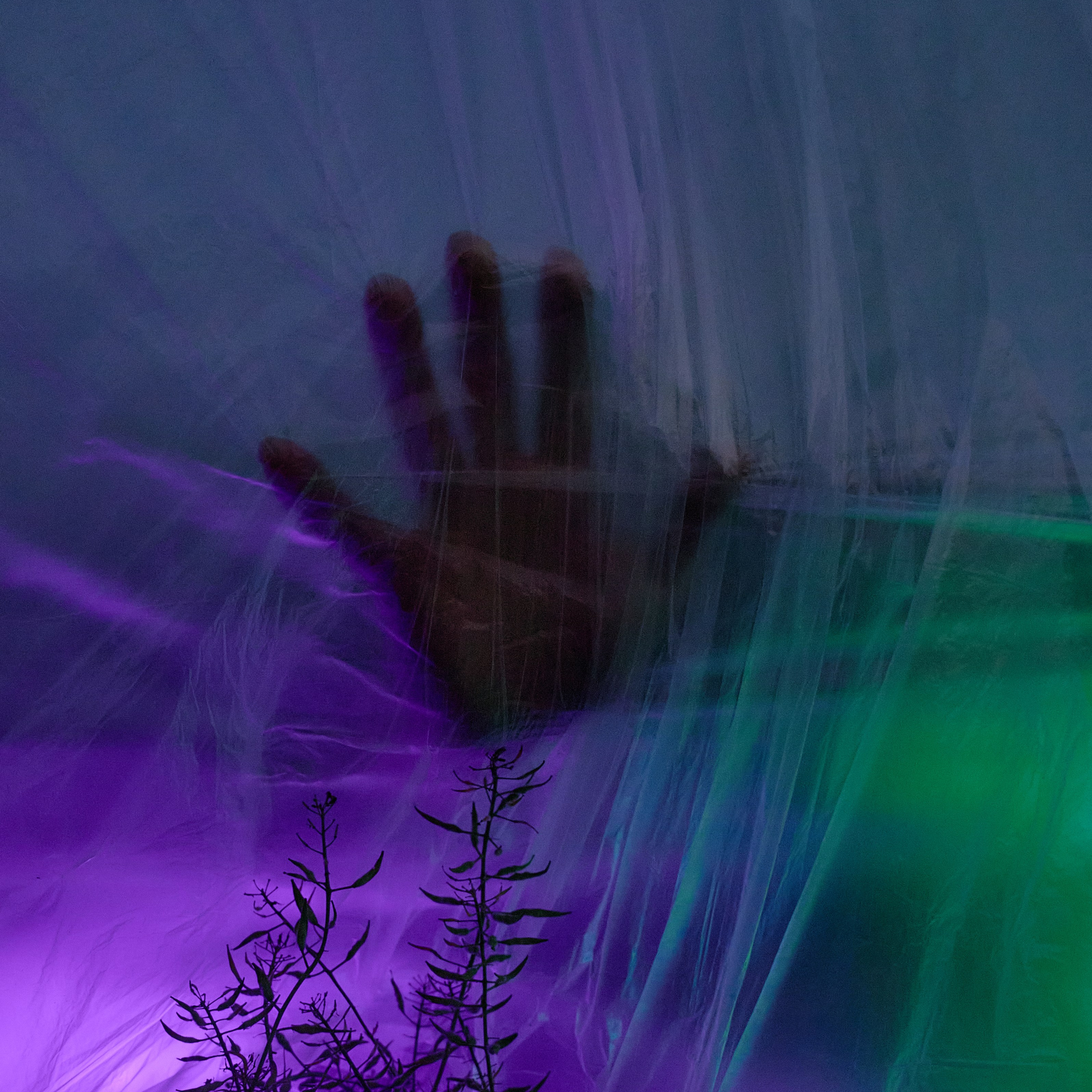 Ночное поле