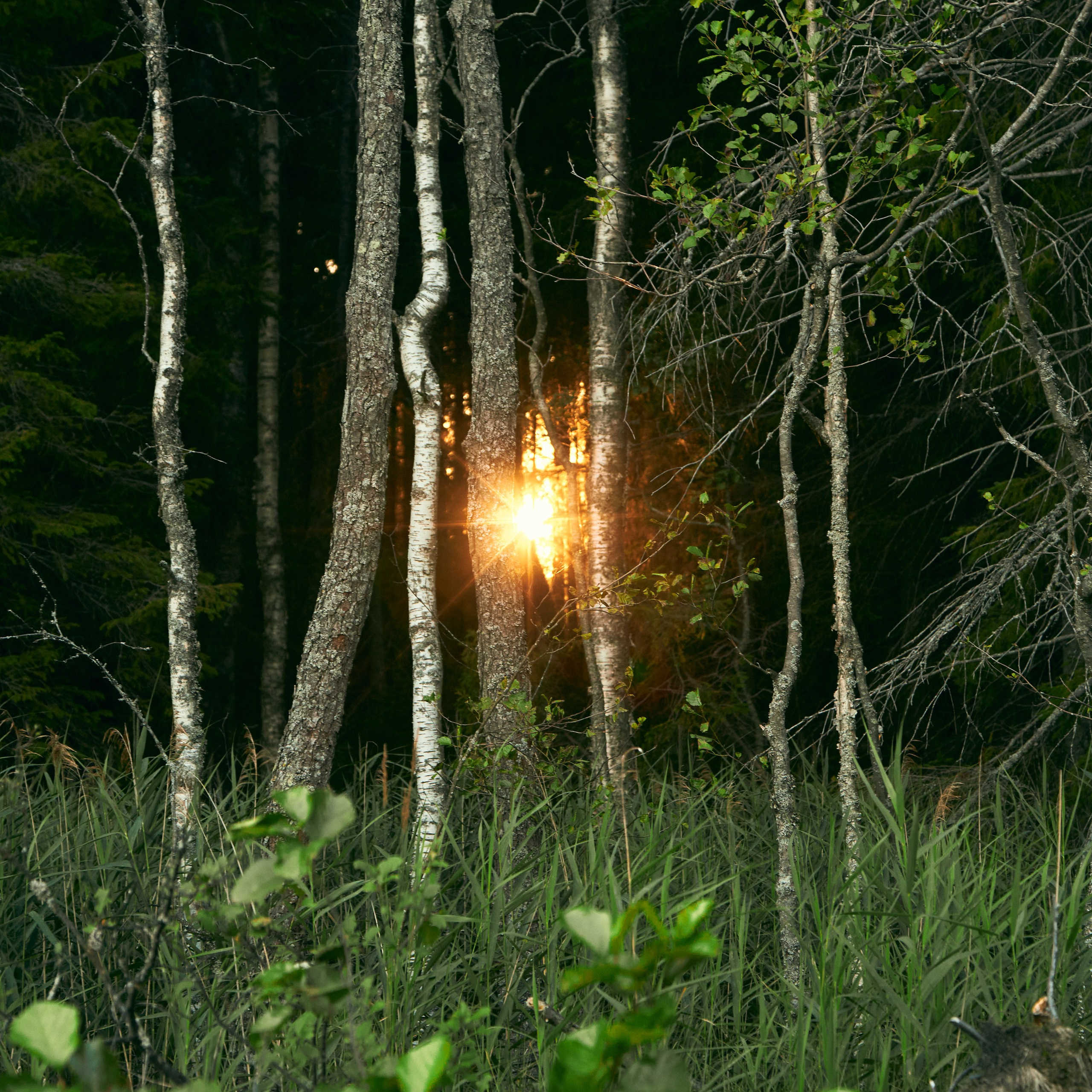 Города России. Карелия. Visual artist (photo & arts)