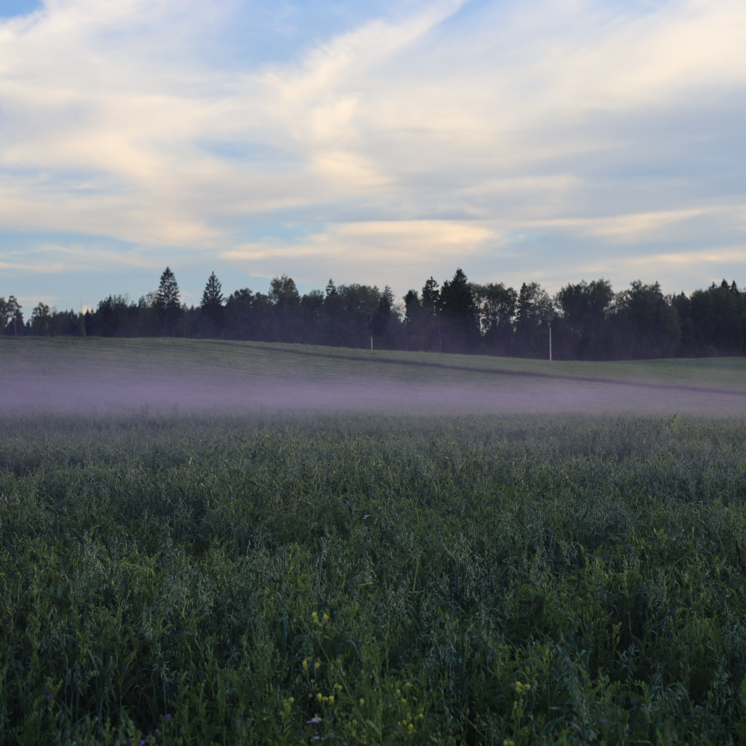 Индивидуальная женская съемка. Visual artist (photo & arts)