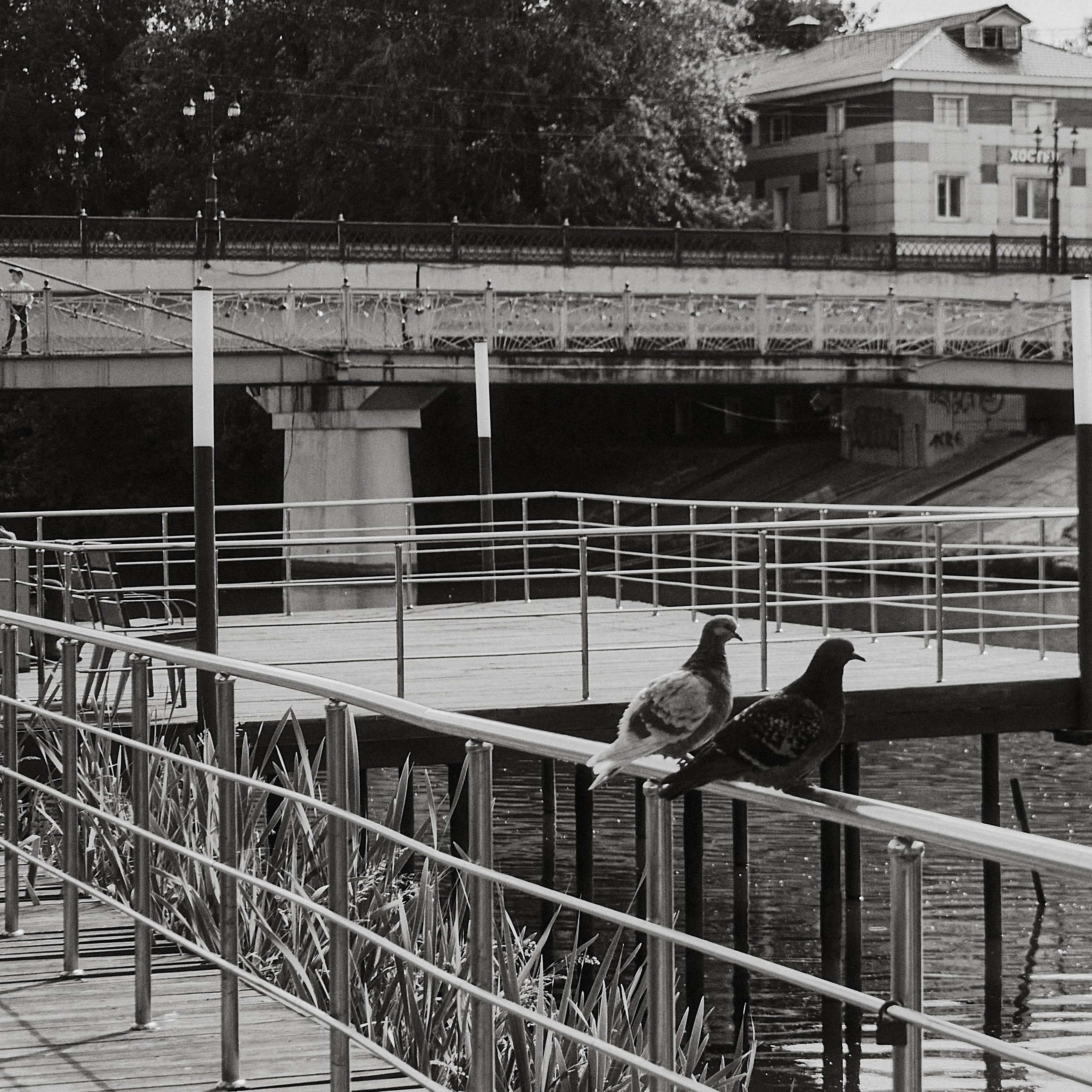 Ногинск. Города России. Visual artist (photo & arts)