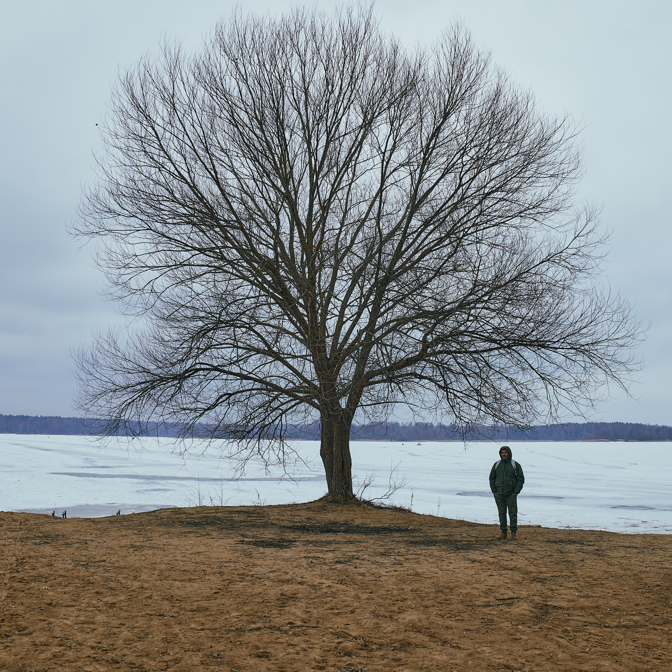 Конаково + Дубна