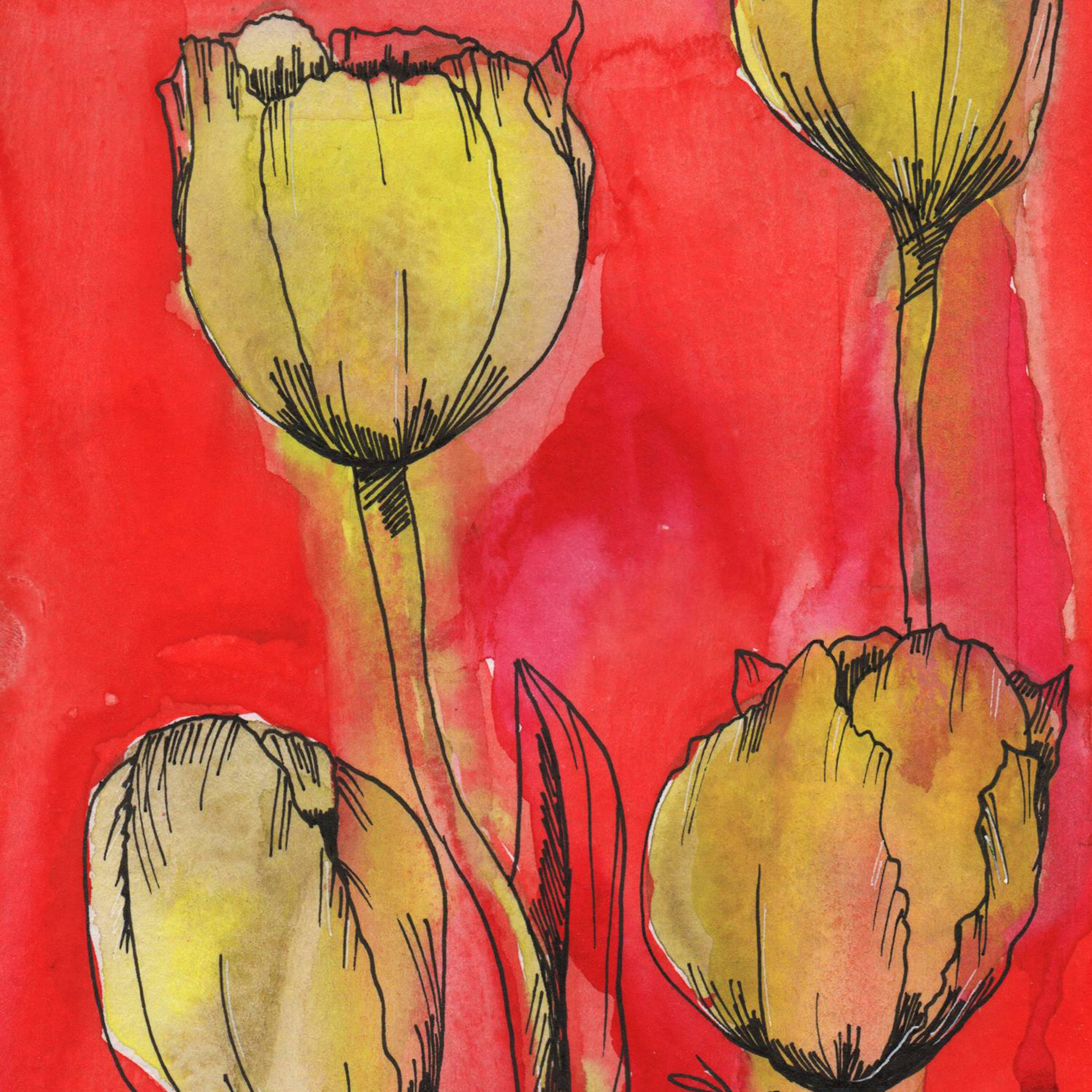 Теплый май. Тюльпаны. Visual artist (photo & arts)