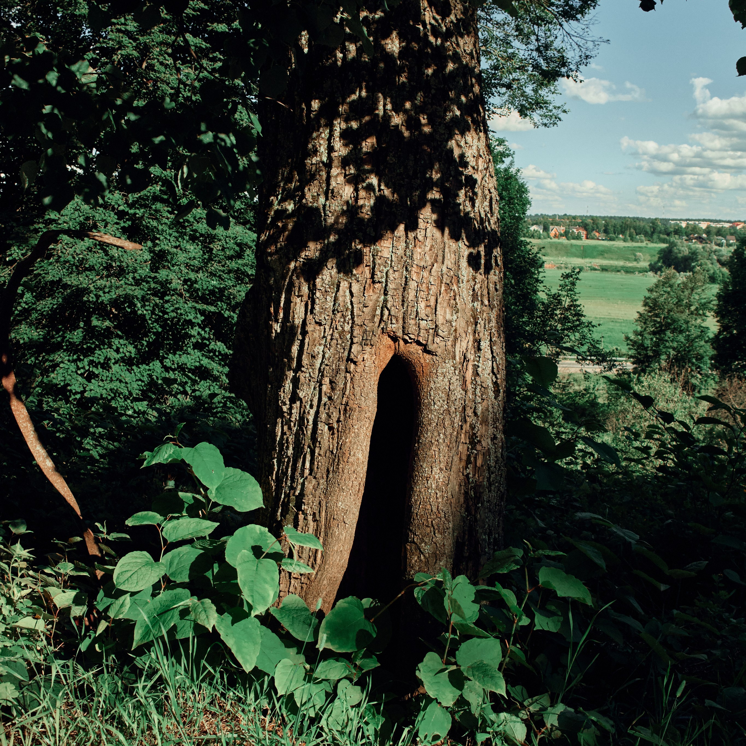 Звенигород. Города России. Travel photo. Visual artist (photo & arts)
