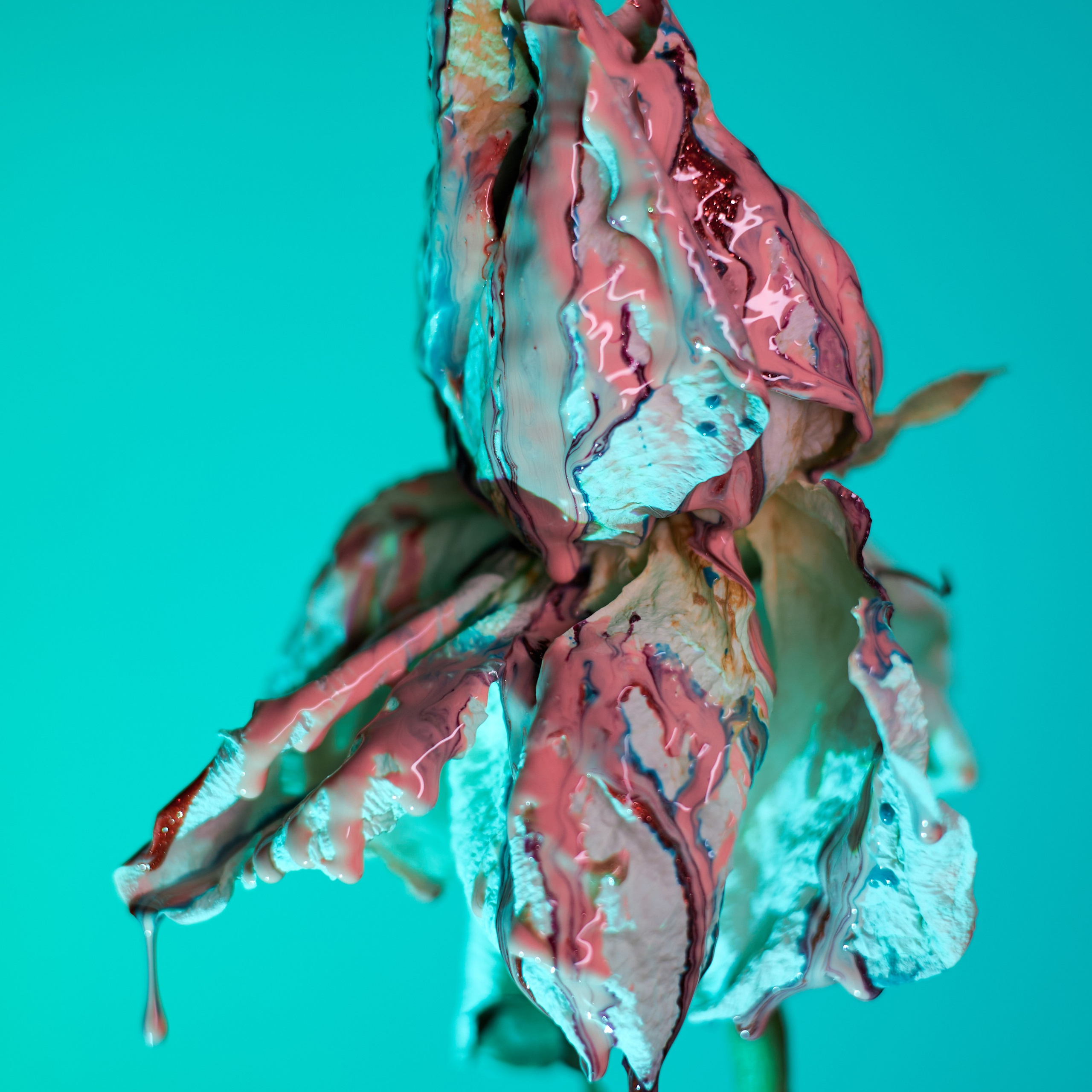 Сухоцветы. Visual artist (photo & arts)