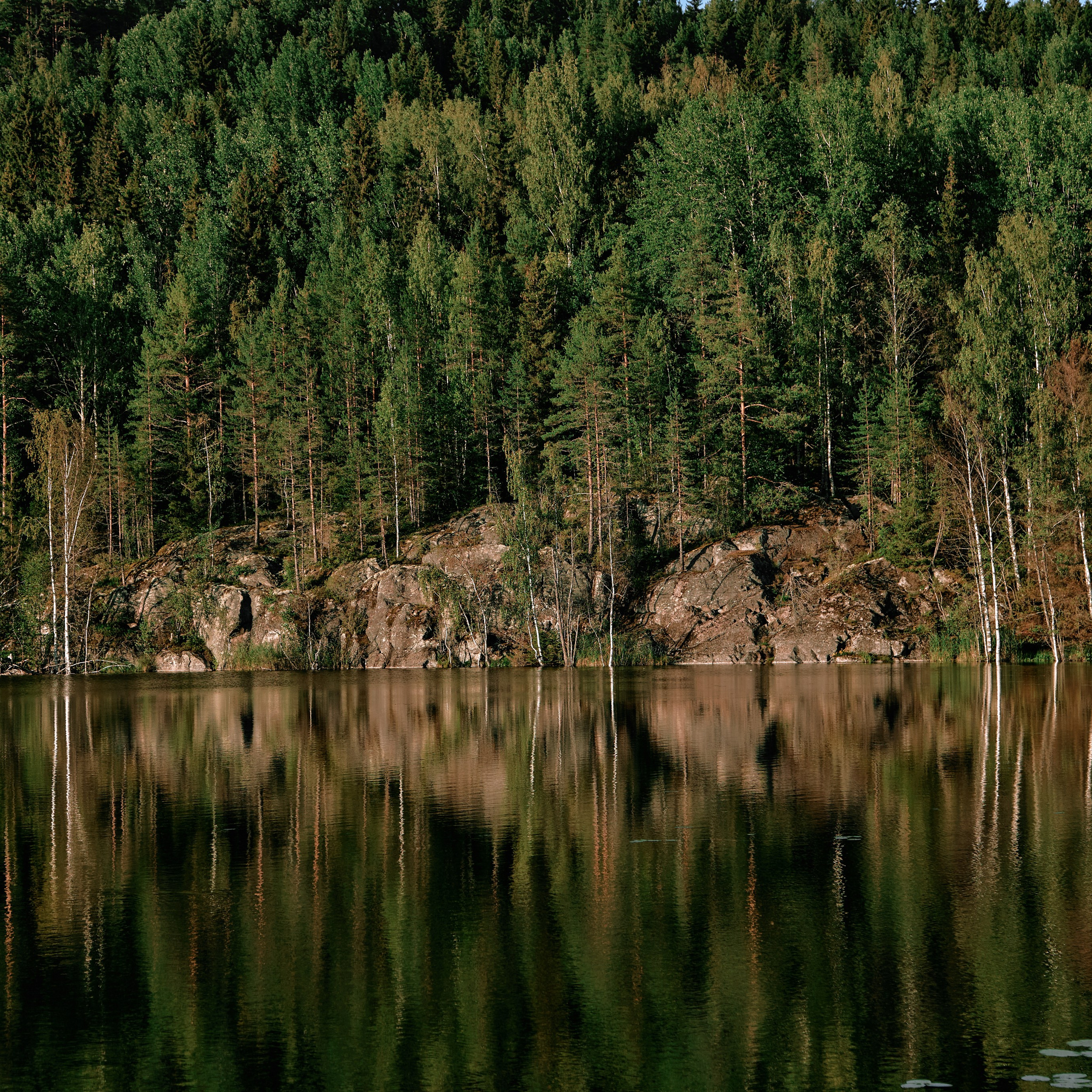 Города России. Карелия. Visual artist (photo & arts)