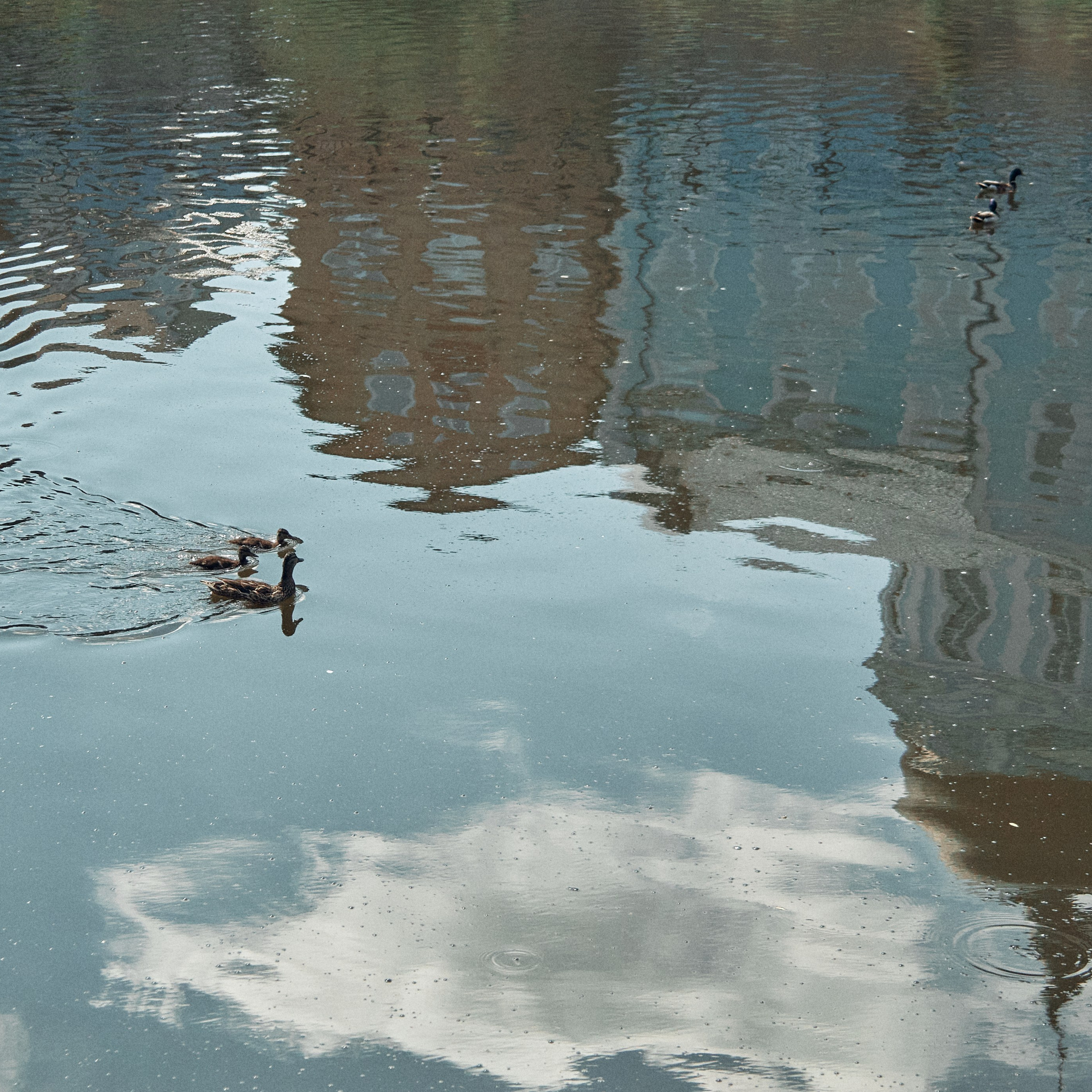 Ногинск. Города России. Visual artist (photo & arts)