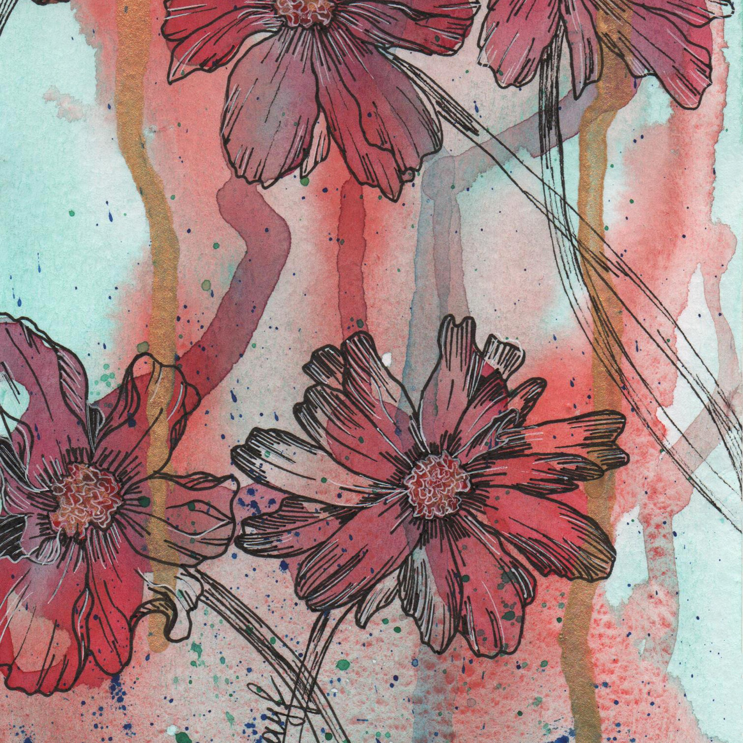 Розовые космеи на рассвете