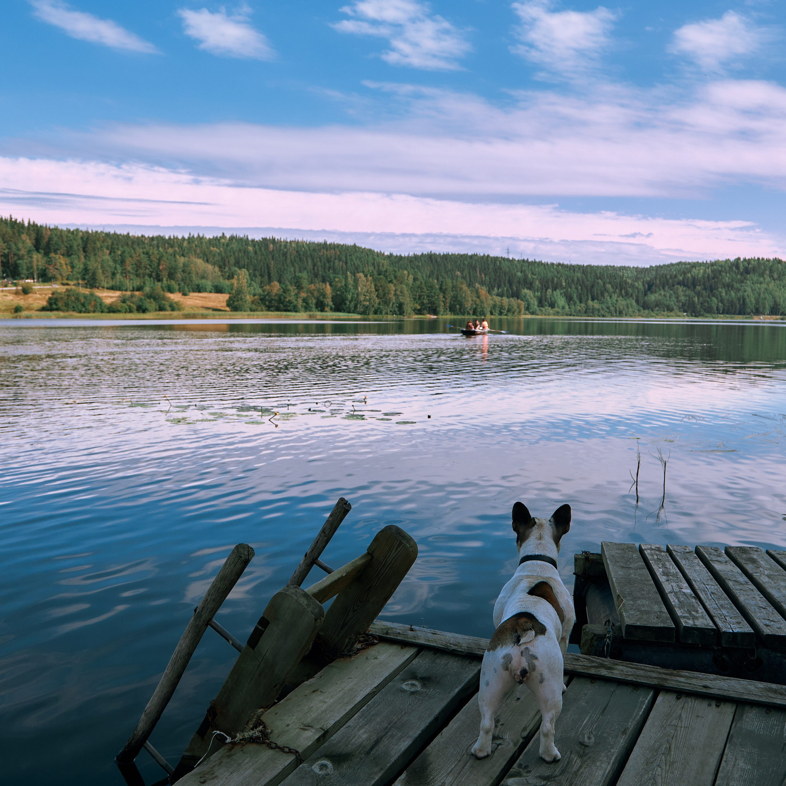 Города России. Карелия. Visual artist (photo & arts)