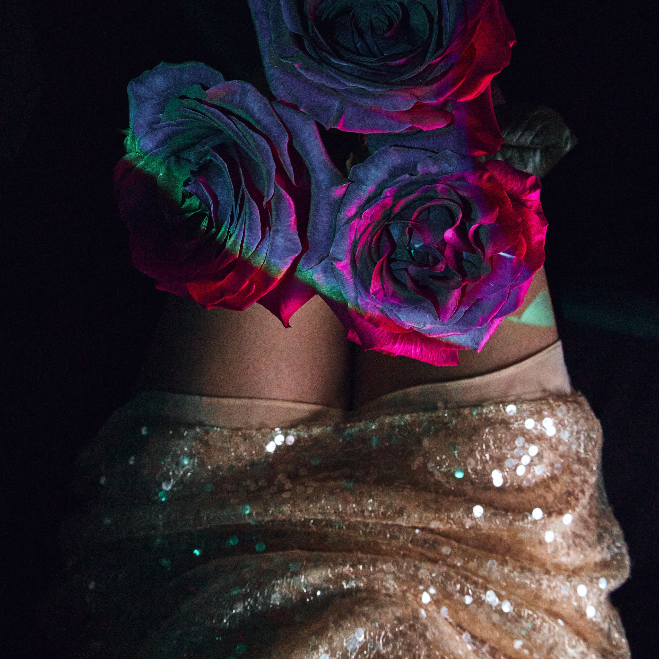 Roses. Visual artist (photo & arts)