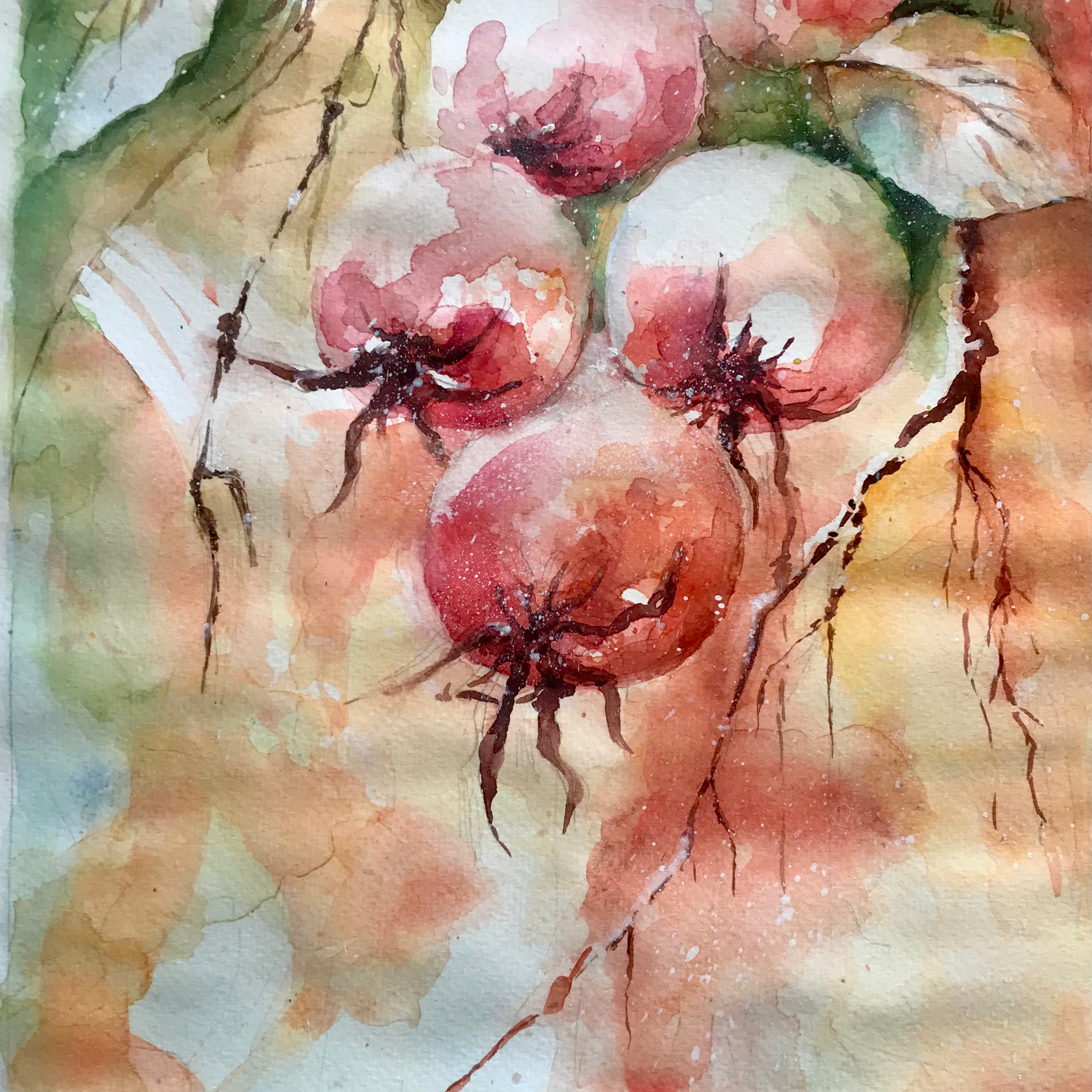 To buy a watercolor painting with apples of paradise