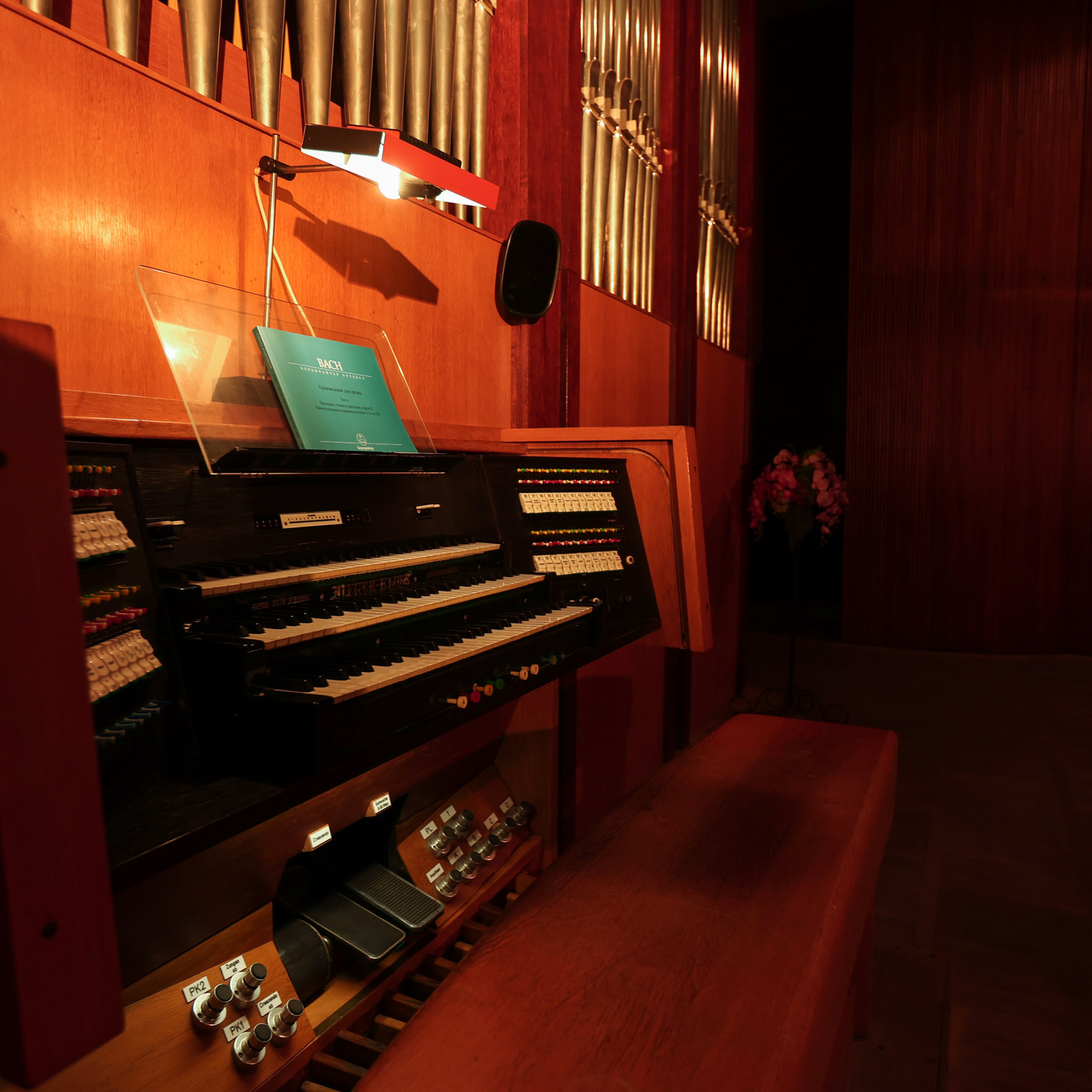 Отзывы клиентов. Репортажный фотограф Сочи Галина Скорик