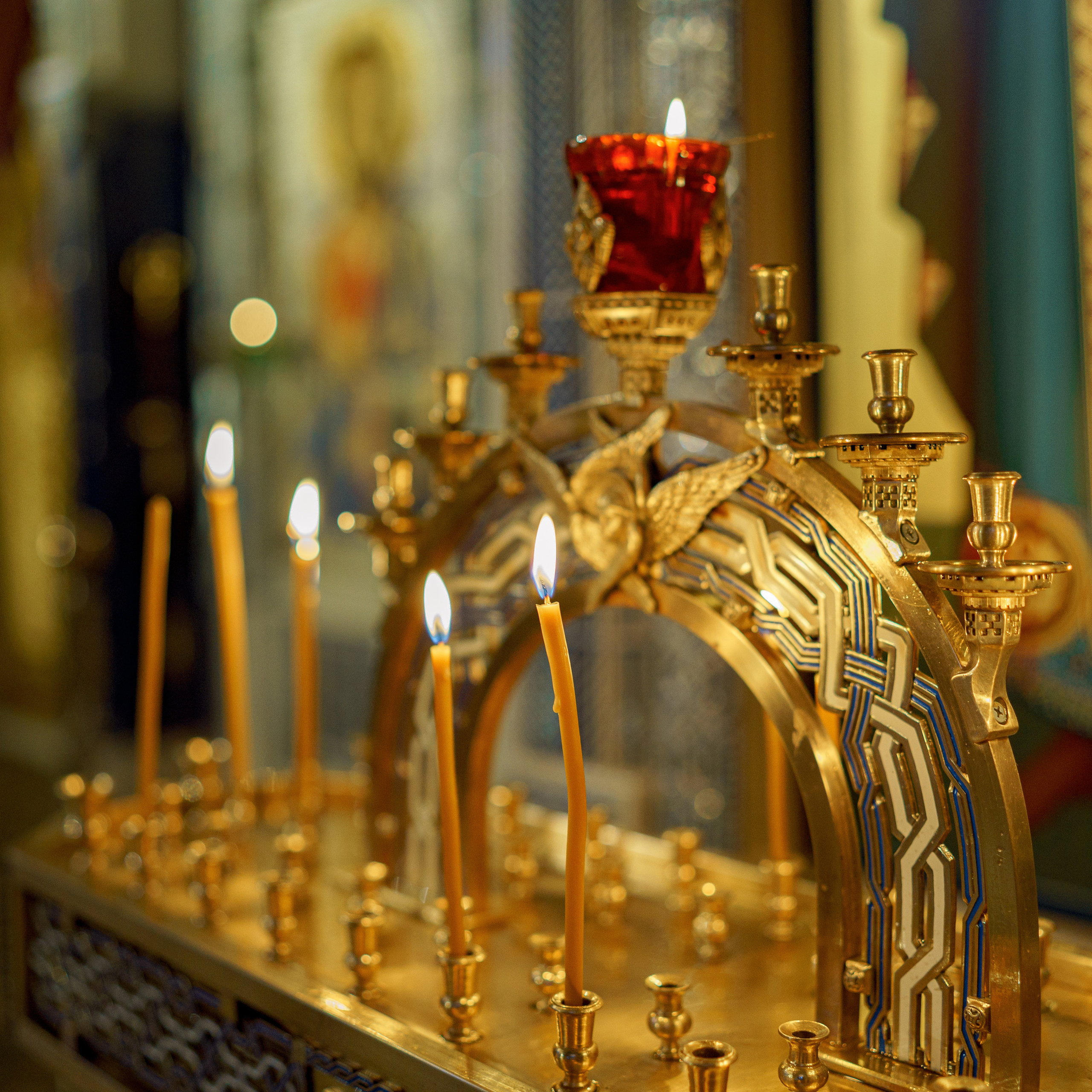 Отзывы. Репотражный и семейный фотограф в Москве Герлинг Радмила