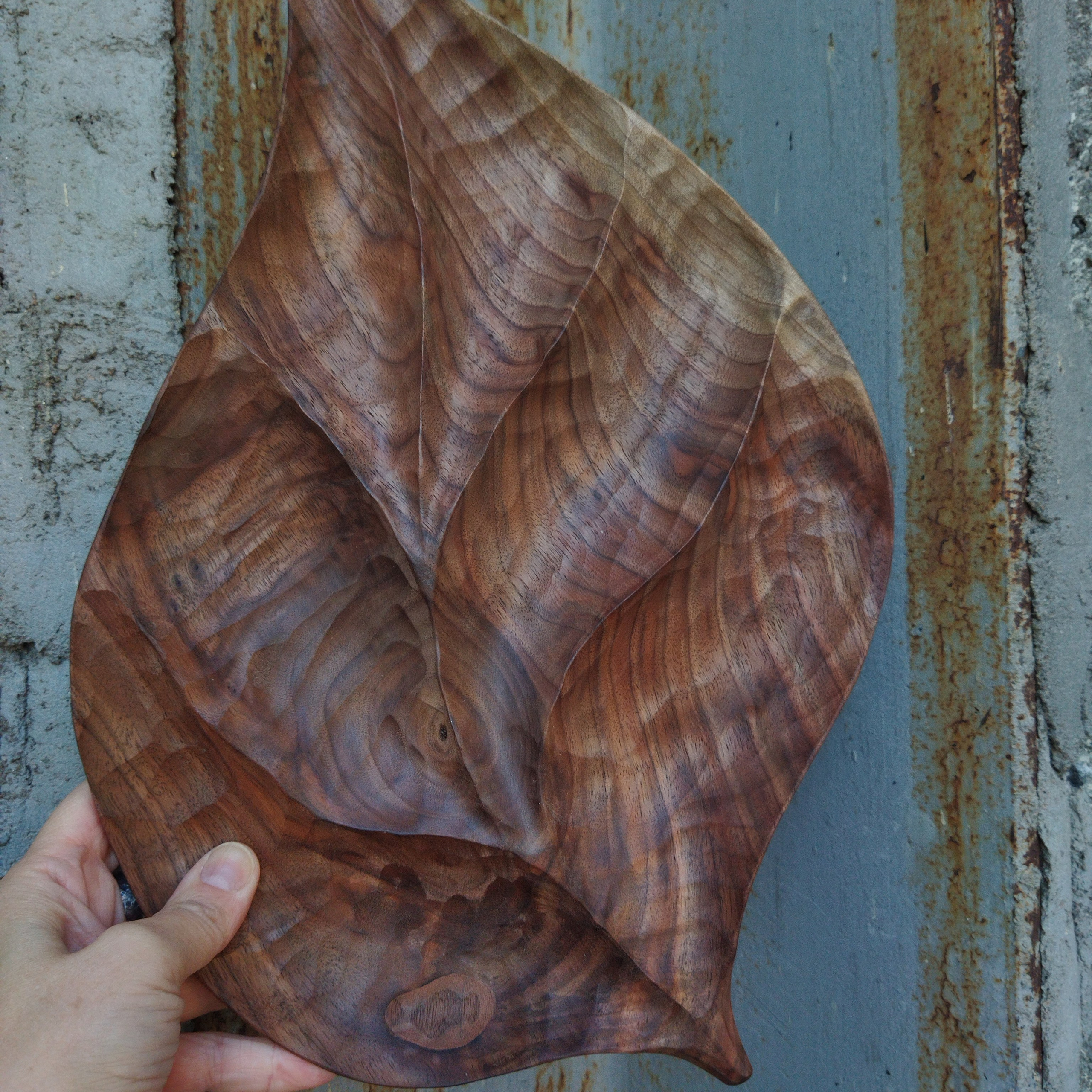 Лист из ореха